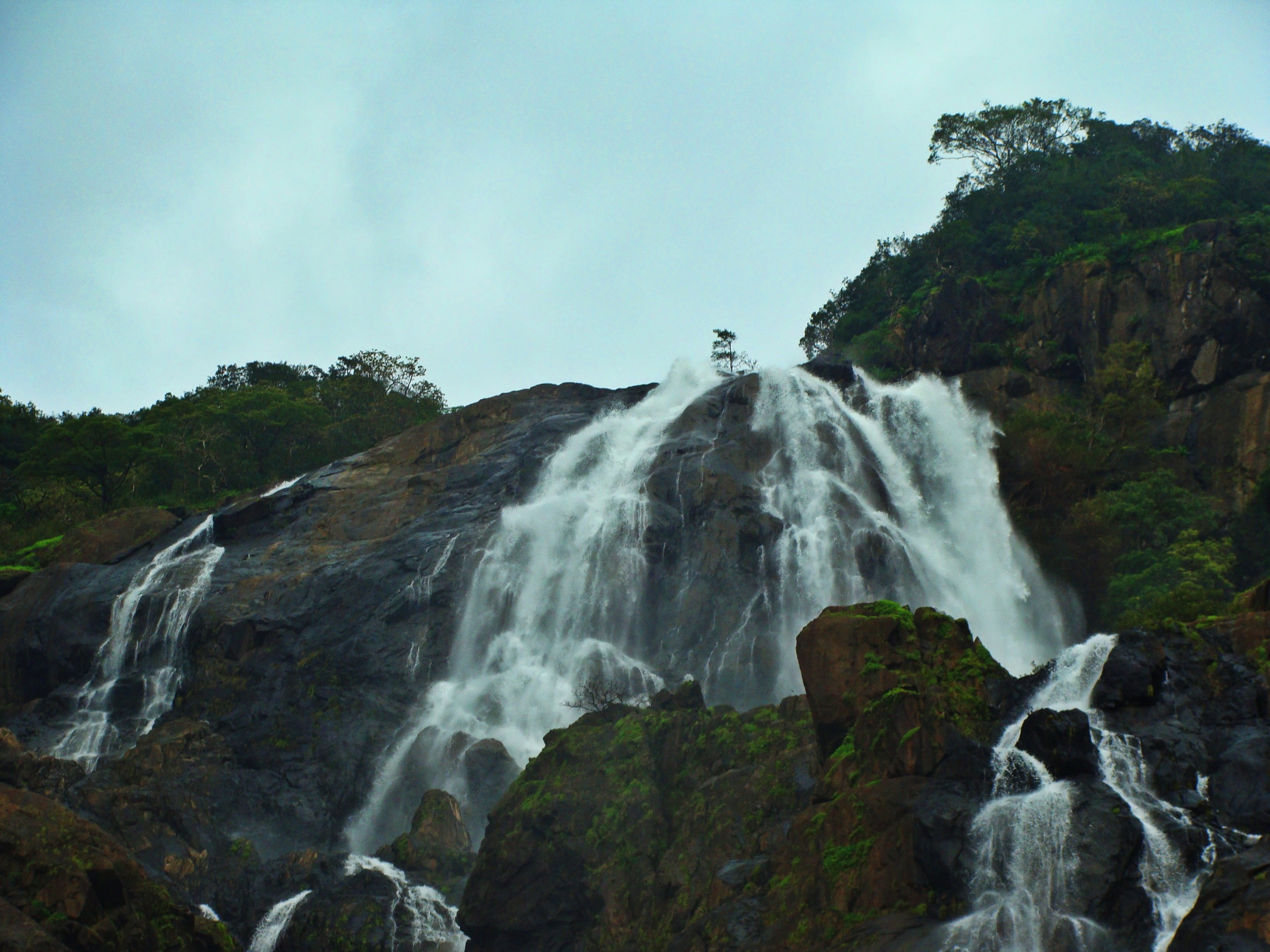rock, rock - object, non-urban scene, rainforest, motion, tree, dudhsagar, nature, falling water, no people, low angle view, western ghats, india, flowing water, HD Wallpaper