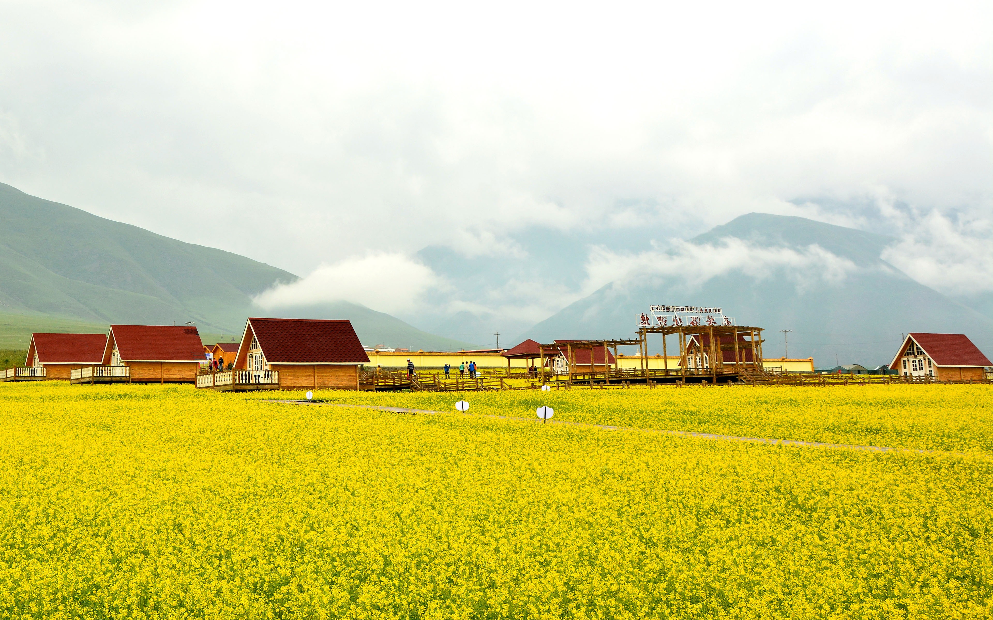 golden, agriculture, mountain, flower, outdoors, yellow, cloud - sky, building exterior, tranquil scene, farm, sky, built structure, architecture, day, HD Wallpaper