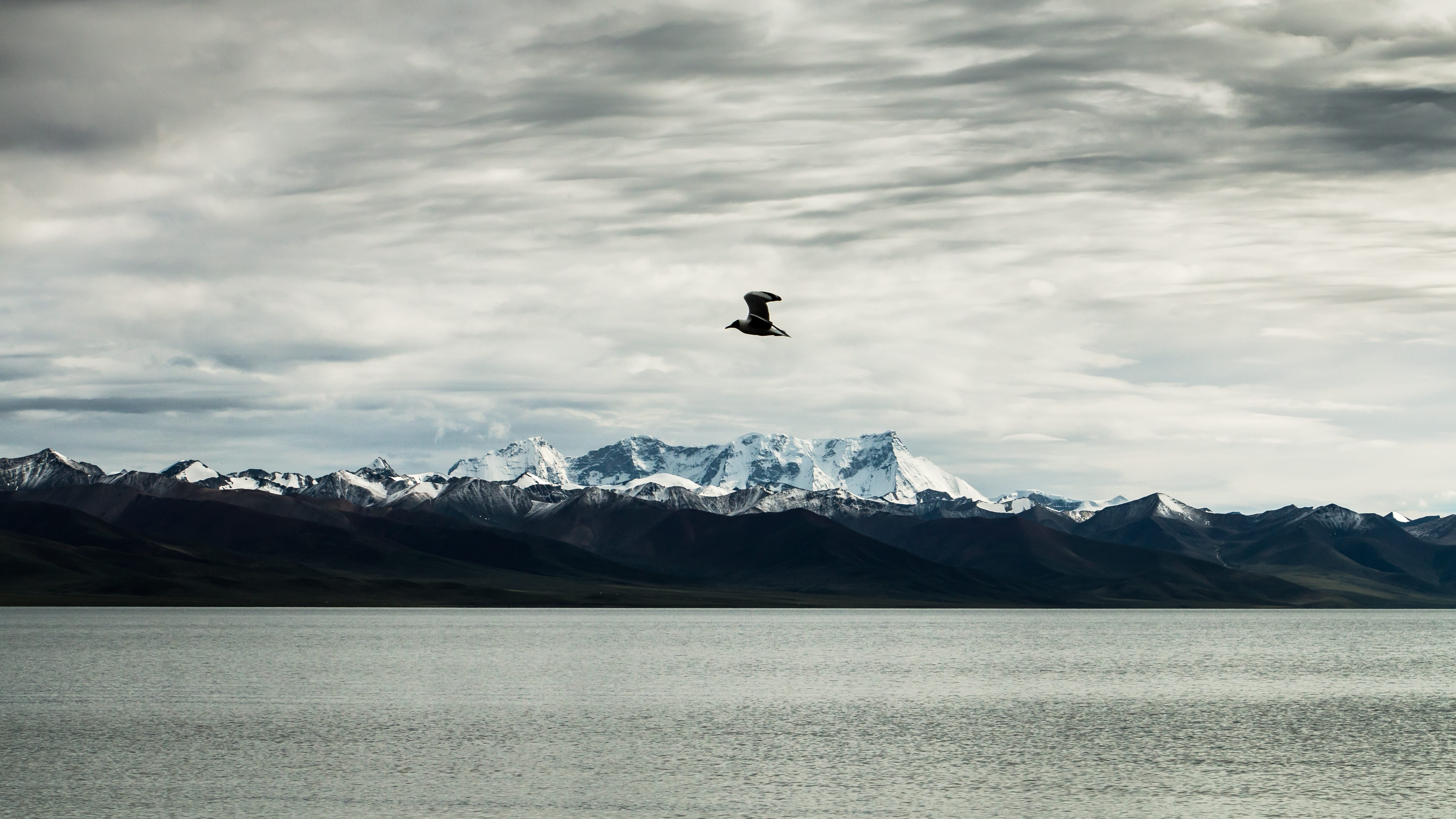 the scenery, scenics, 5K, day, animal themes, mountain range, Tibet, mountain, non-urban scene, bird, scenics - nature, Scenery, winter, the qinghai-tibet plateau, HD Wallpaper