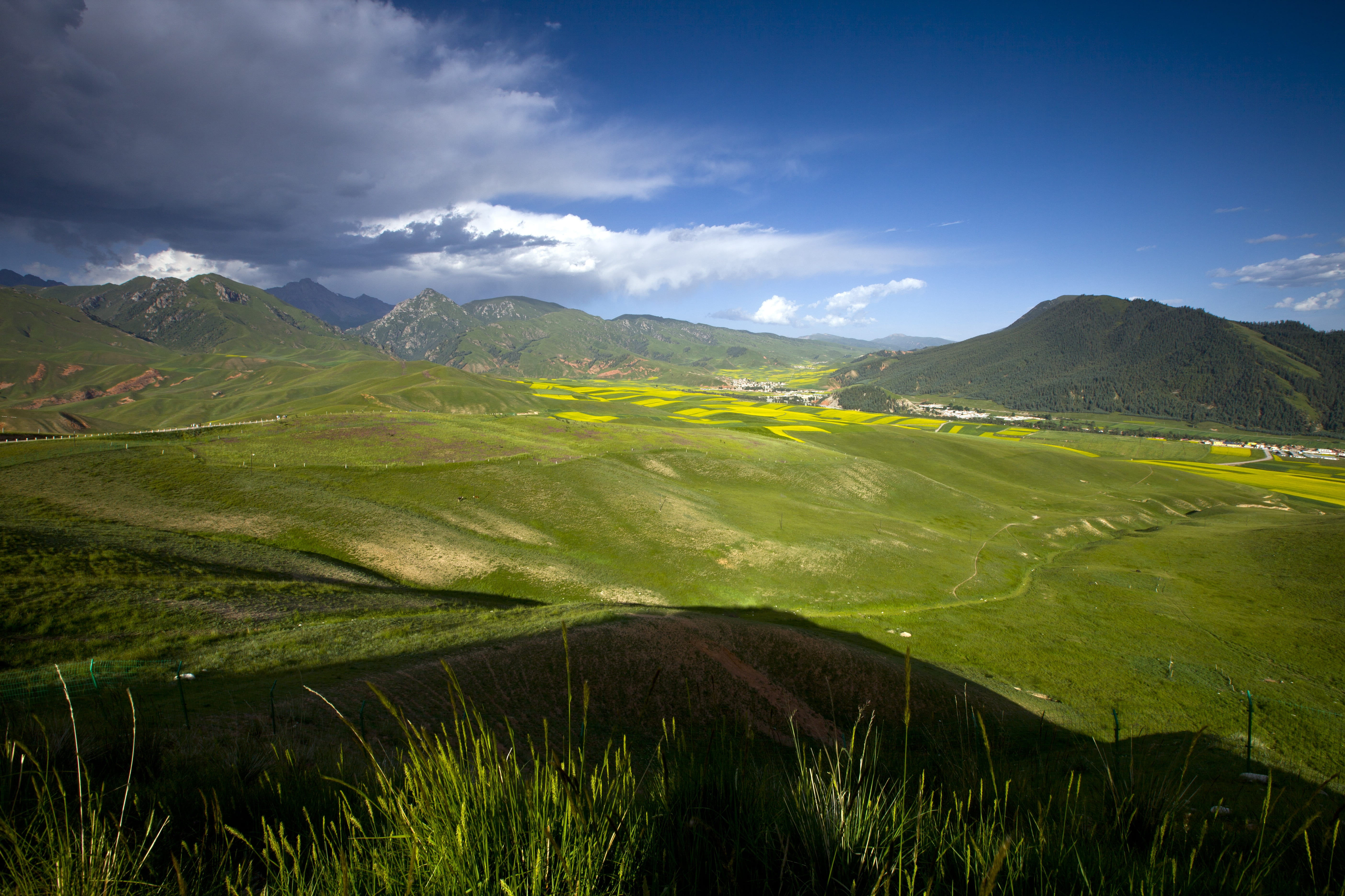 no people, mountain peak, grass, tranquil scene, landscape, scenics - nature, nature, agriculture, qinghai, tranquility, green color, mountain range, land, HD Wallpaper