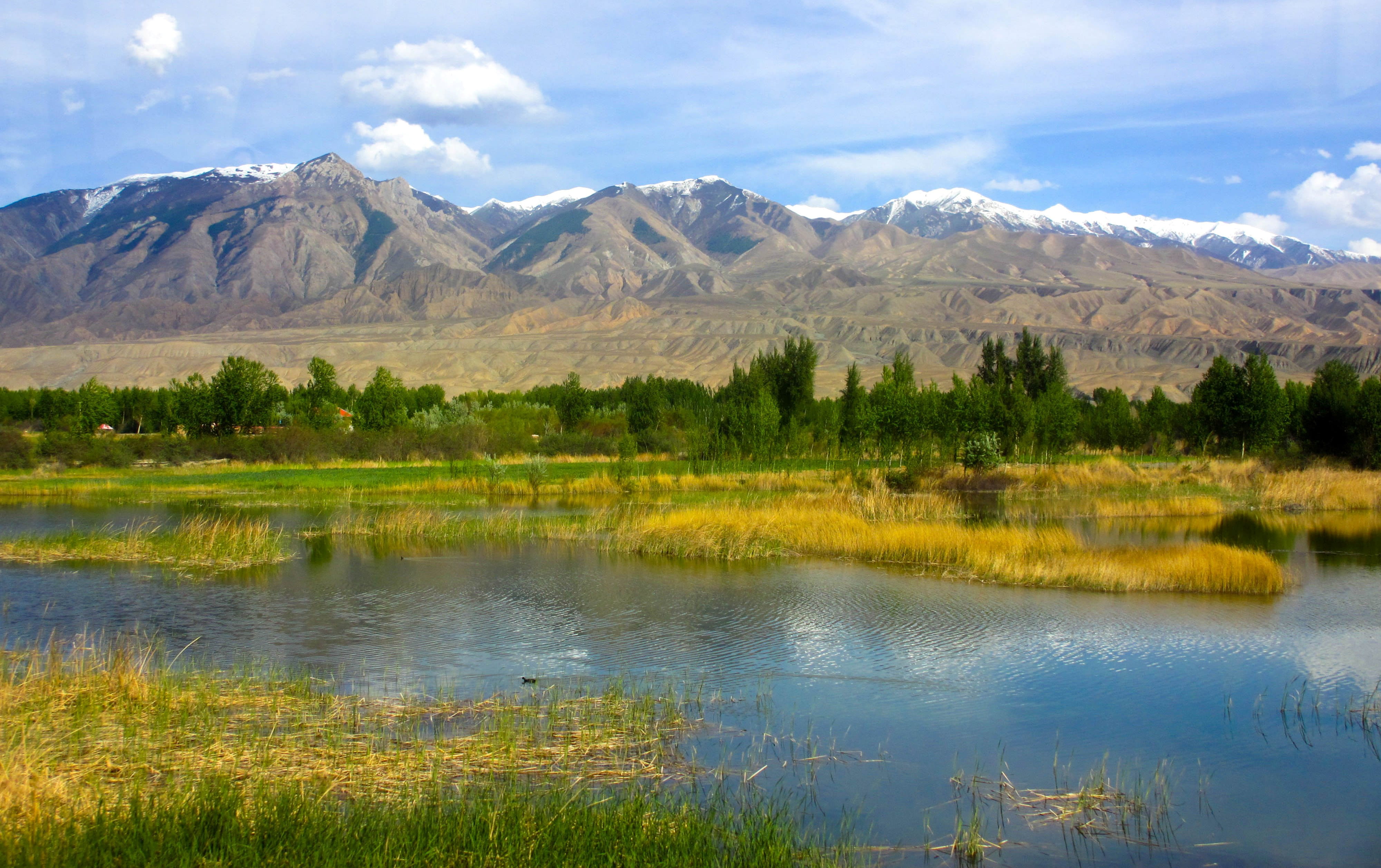 meadow, tranquility, cloud - sky, landscape, reflection, grass, plant, scenics - nature, tranquil scene, mountain, nature, 4K, environment, no people, HD Wallpaper