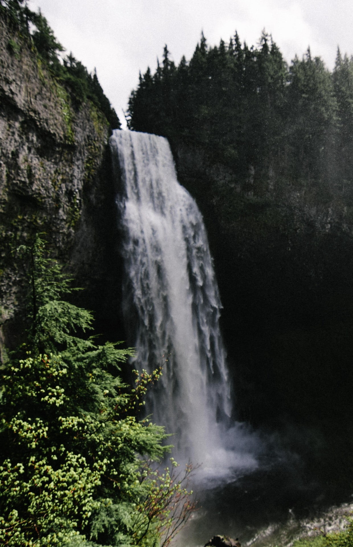 environment, Oregon, tree, water, land, rock - object, Salt Creek Falls, long exposure, non-urban scene, woodland, nature, lake, no people, forest, flowing water, Phone HD Wallpaper