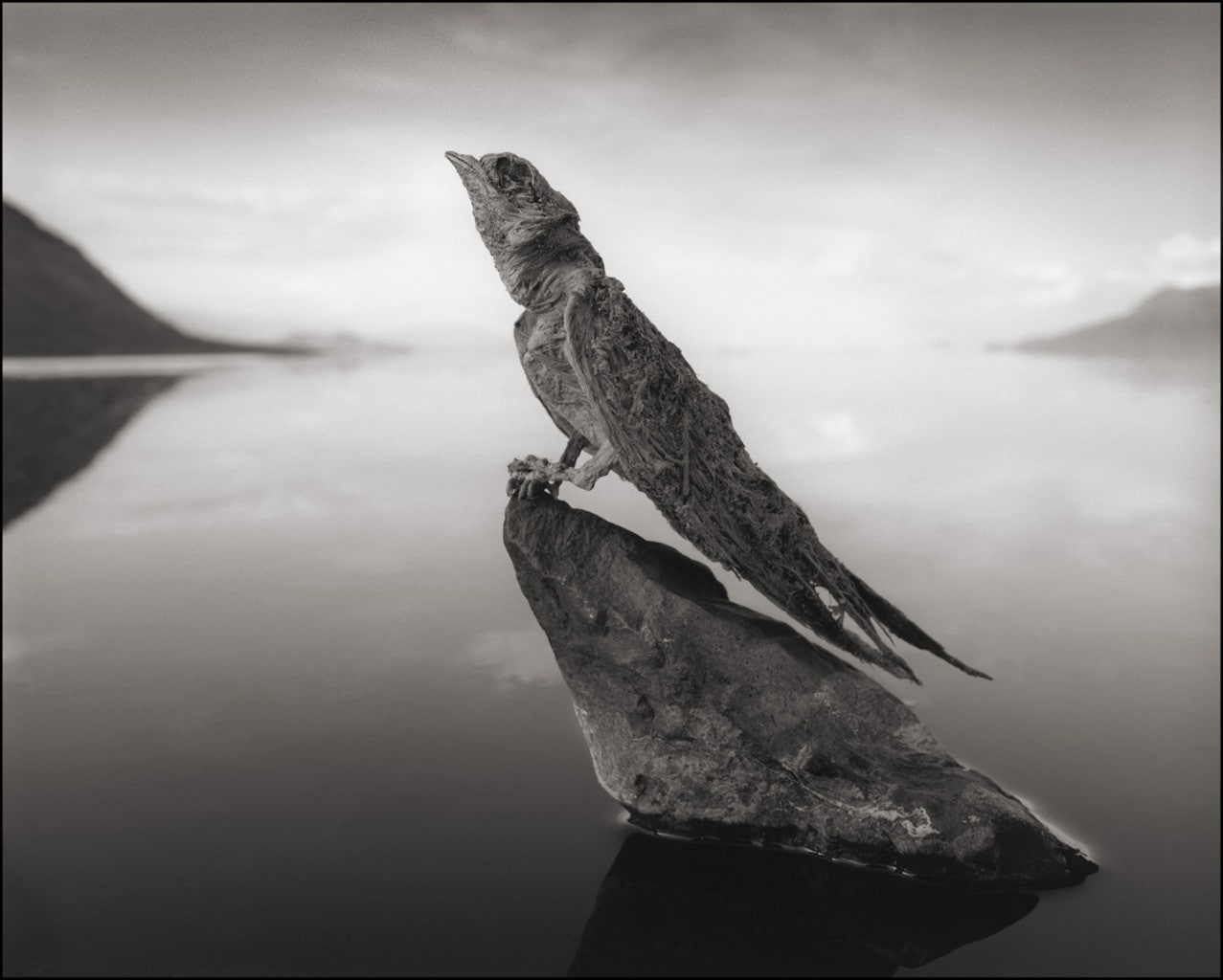 salt lakes, birds, 480P, HD Wallpaper