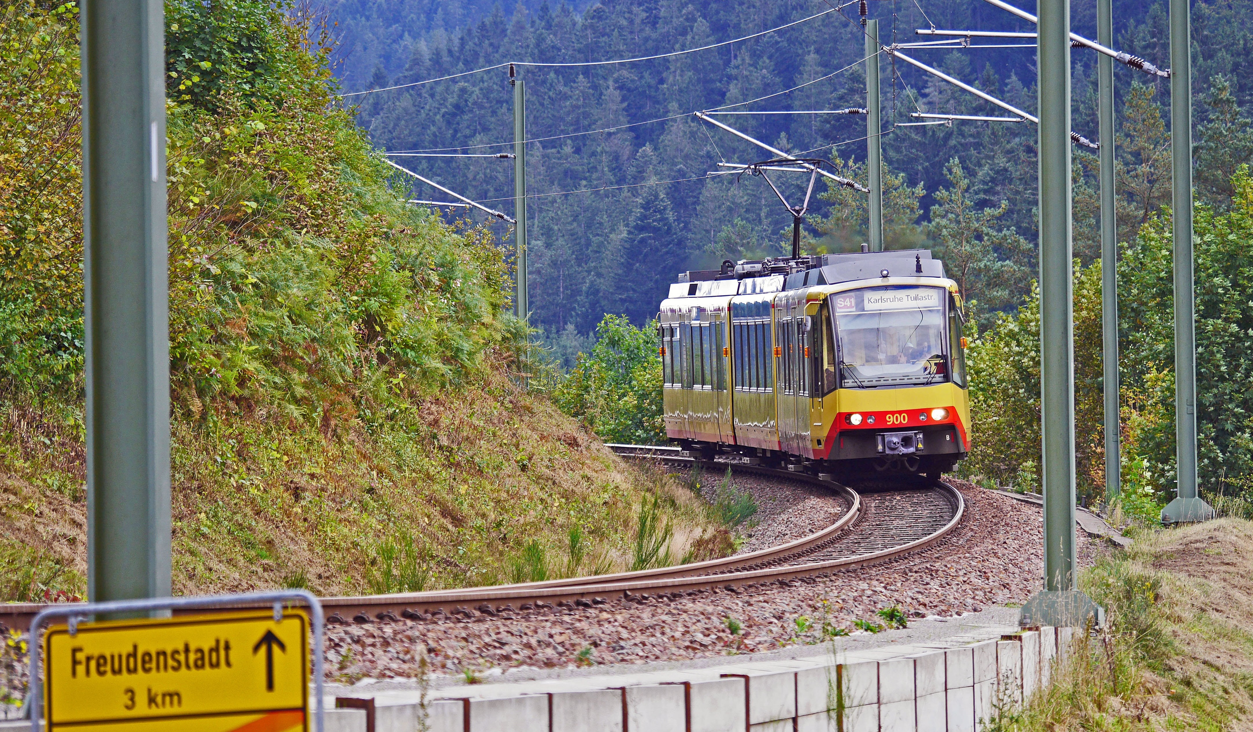 coniferous forest, regional train, growth, railway line, outdoors, power supply, avg, high valley, transportation, öpnv, karlsruhe, public transportation, HD Wallpaper