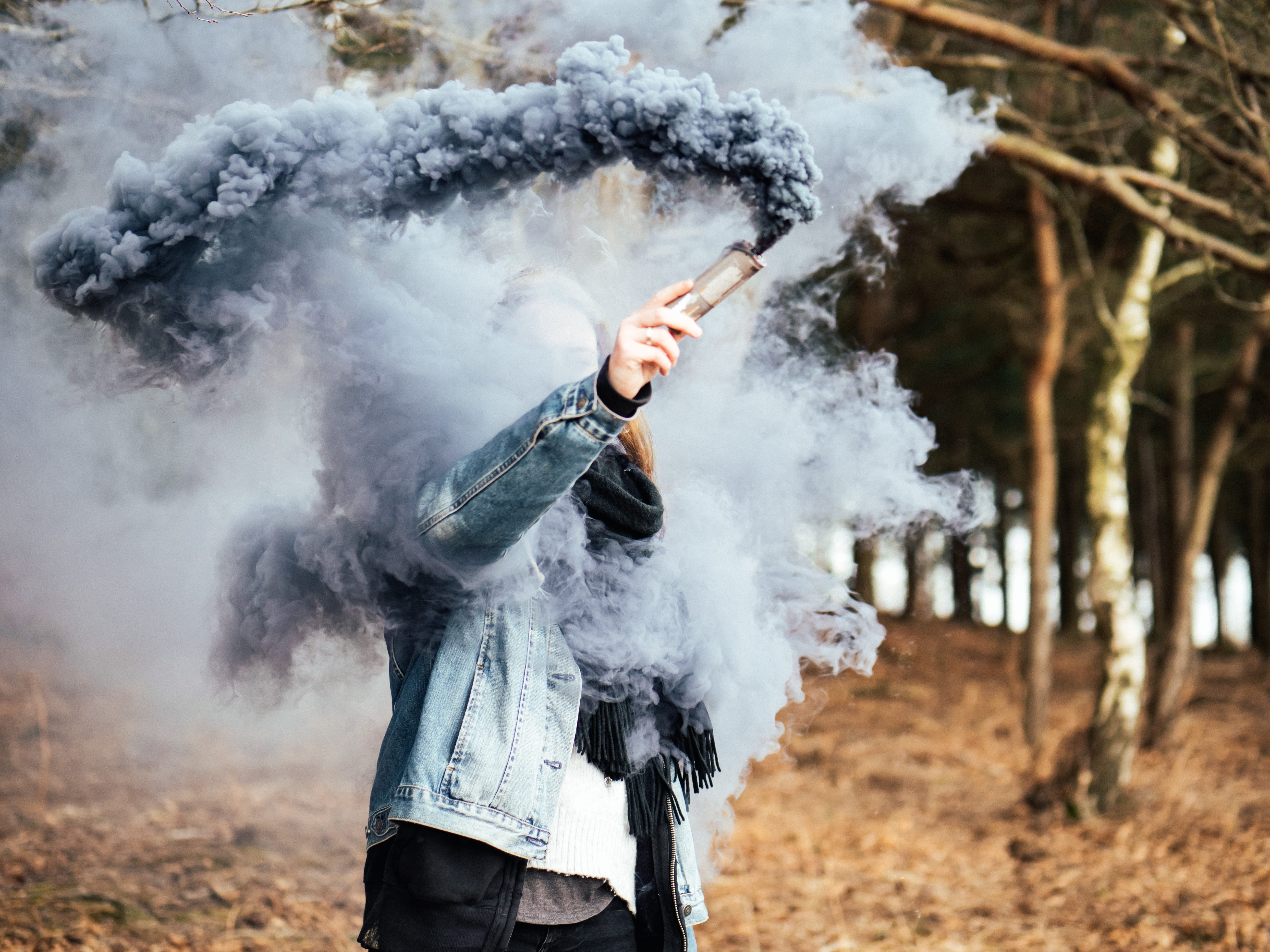 obscured face, tree, forest, standing, brown, outdoors, sign, aggression, person, gray, warning sign, new forest, woman, flare, holding, men, ground, adult, HD Wallpaper