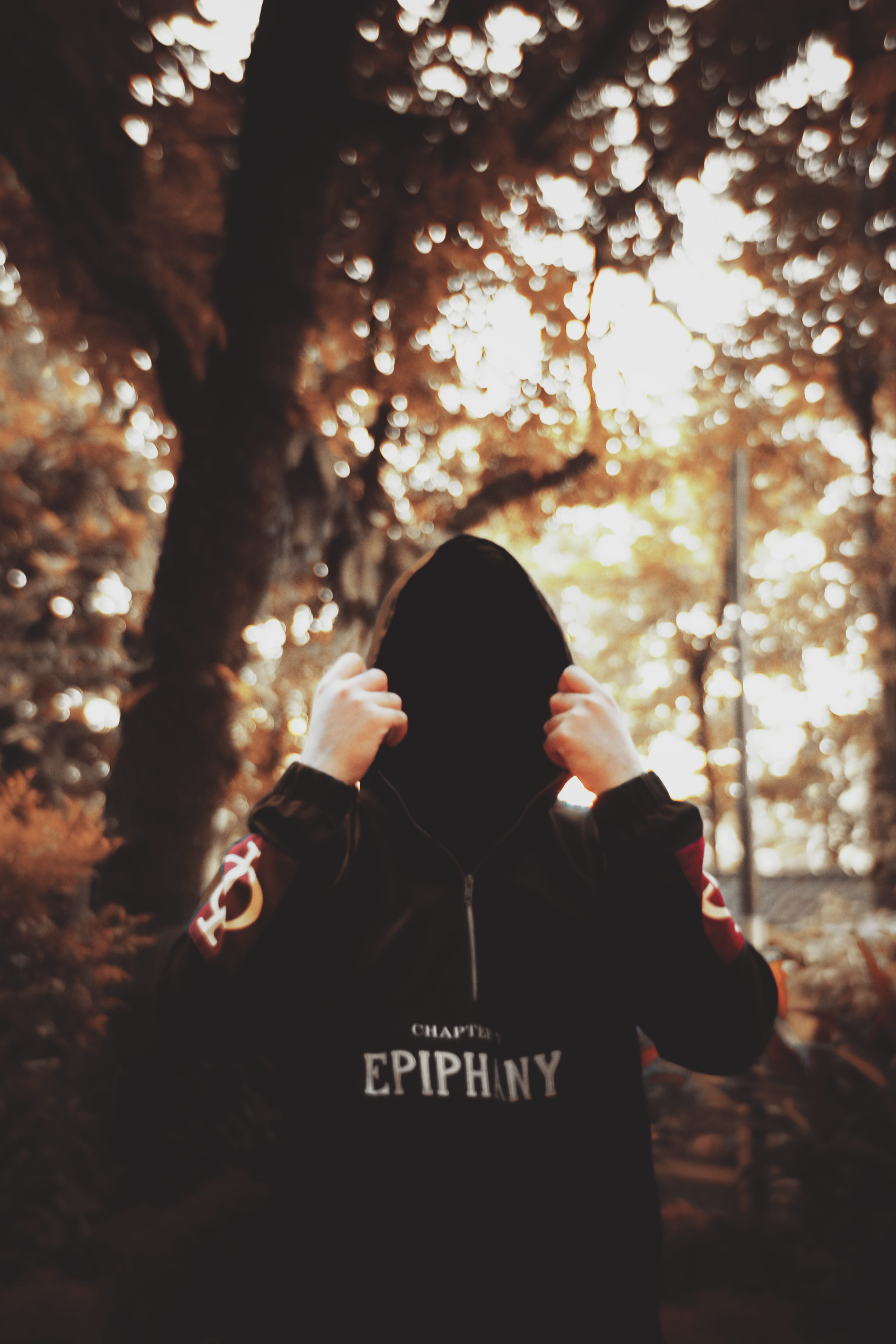 woodland, hooded, hoodie, leisure activity, black, photography, obscured face, photographer, plant, trunk, 4K, land, standing, communication, men, shift, Phone HD Wallpaper