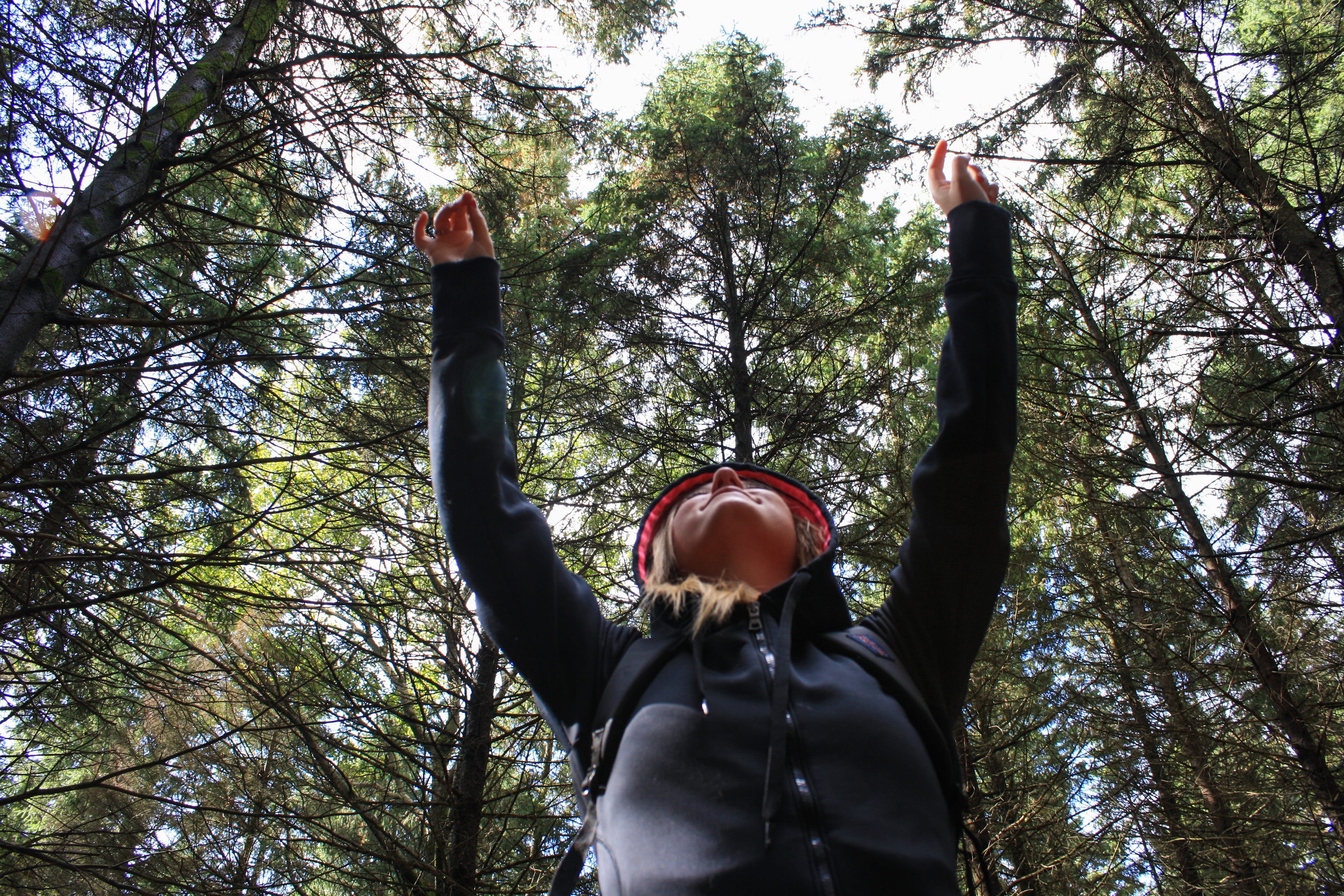 men, daytime, woman, angle, green, leisure activity, trek, people, low, jacket, sky, girl, inspired, sleeve, coat, plant, trees, woods, day, activity, arms raised, HD Wallpaper