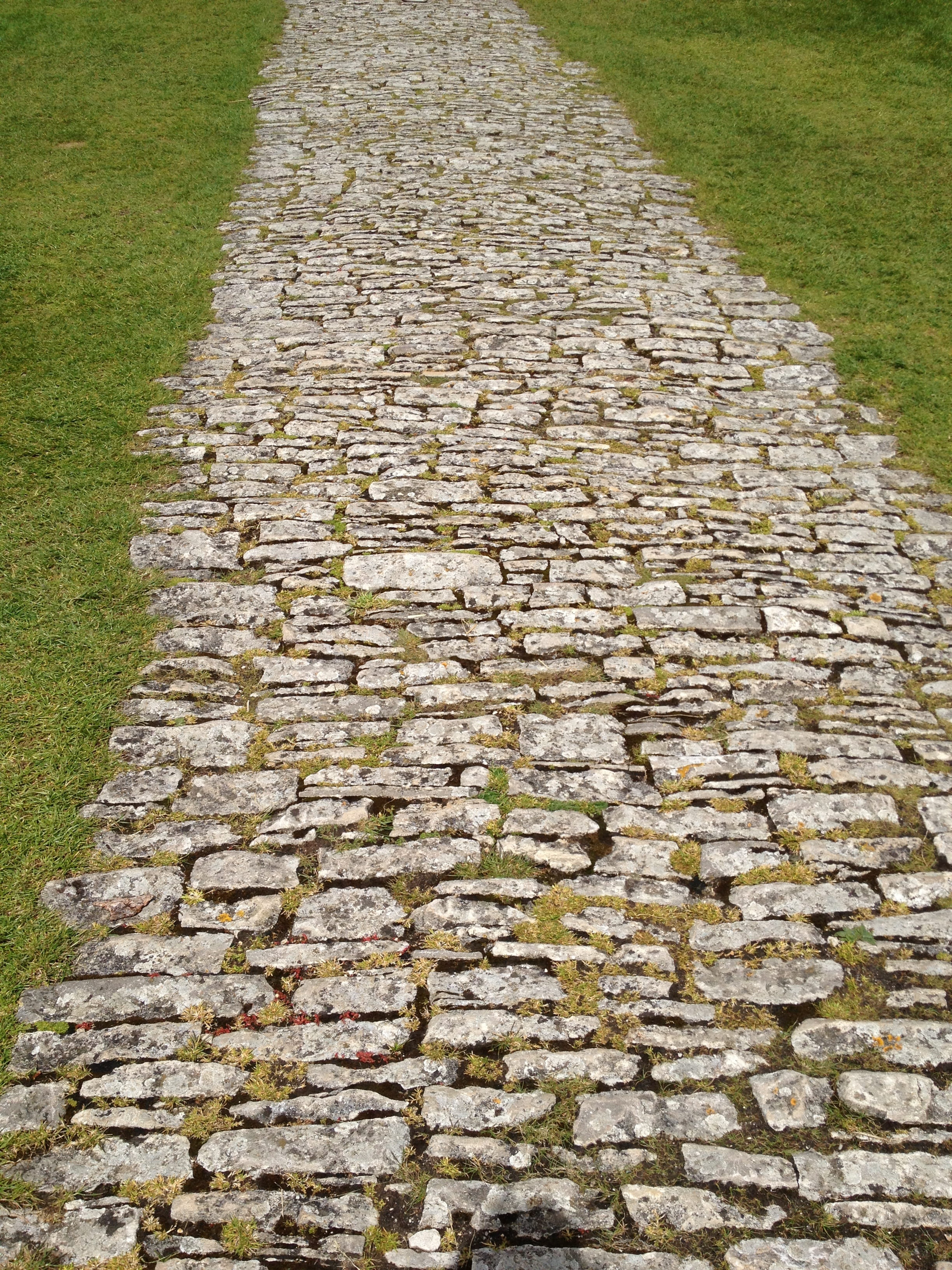 nature, architecture, Texture, Path, grass, corfe castle, textured, agriculture, 2K, solid, wall, field, plant, stone material, footpath, the way forward, Phone HD Wallpaper