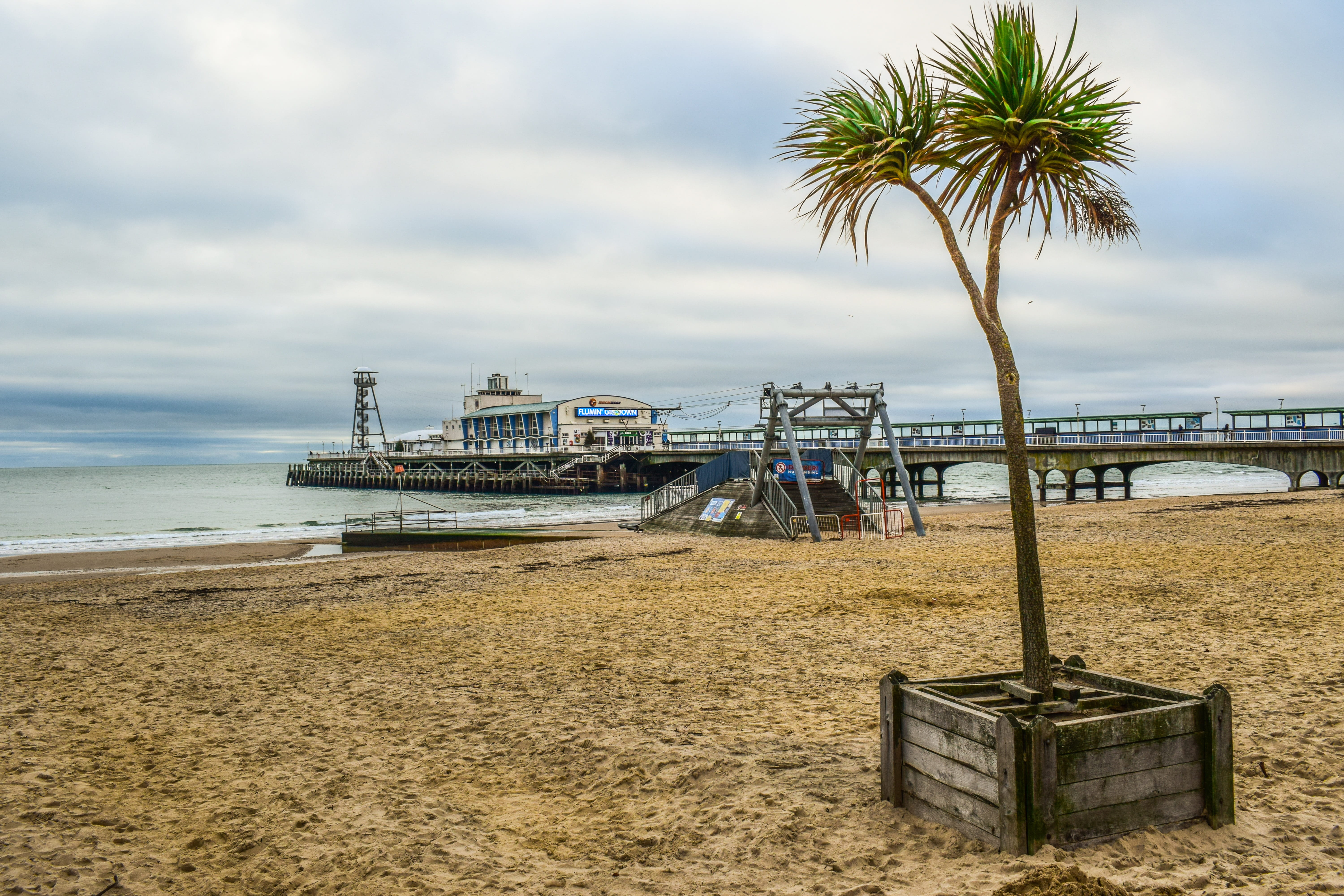 sky, nautical vessel, transportation, beauty in nature, coconut palm tree, tropical climate, palm tree, pier, outdoors, 5K, day, seaside, mode of transportation, HD Wallpaper