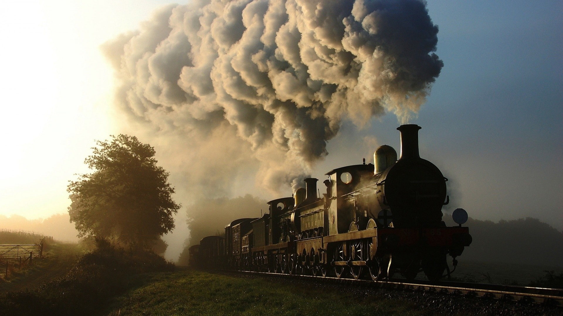 smoke, trees, train, railway, steam locomotive, 1080P, HD Wallpaper
