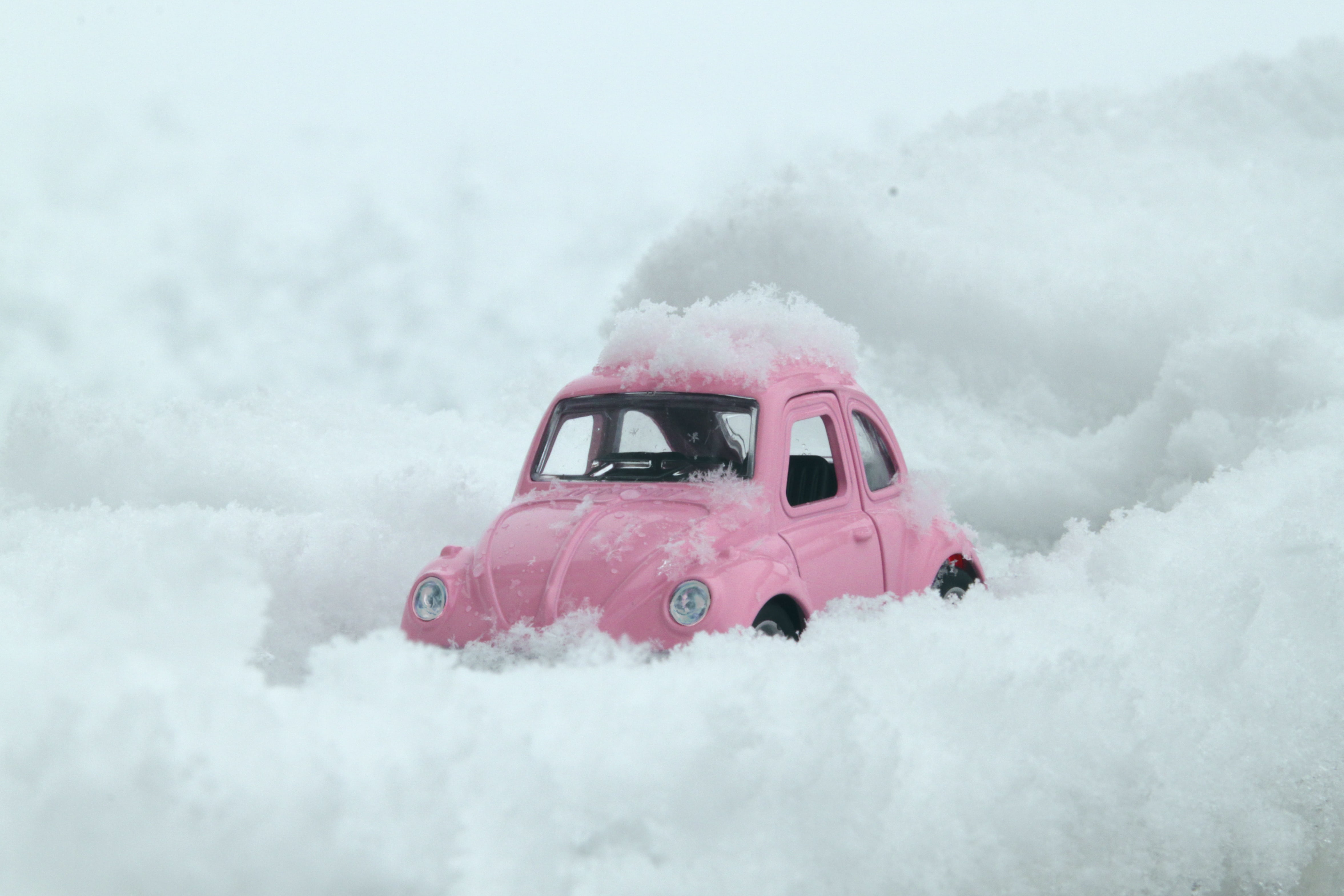 kocaeli, love, travel, pink color, heavy snow, tortoise, traffic, classic, narrow road, extreme weather, motor vehicle, outdoors, no people, winter, copy space, HD Wallpaper