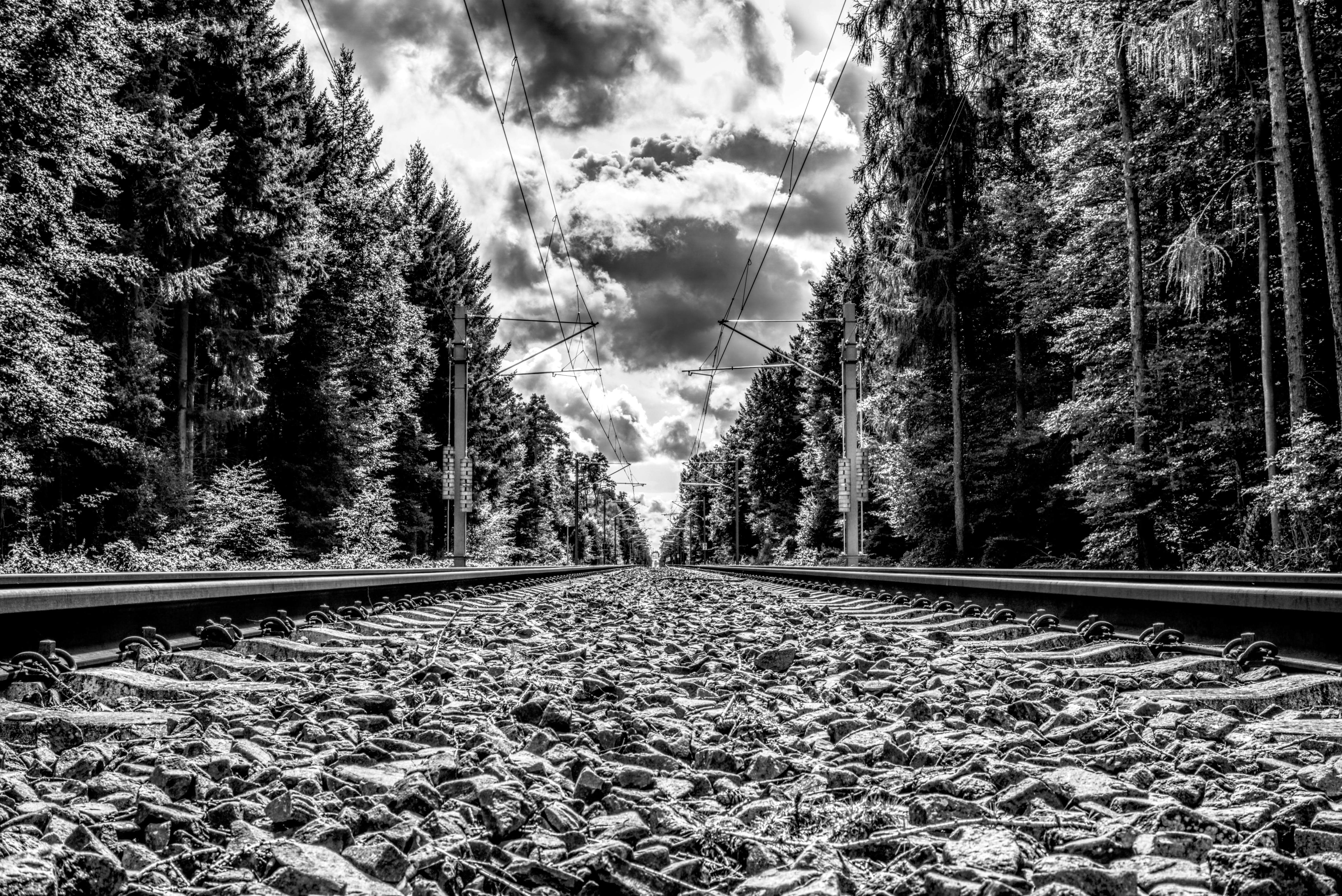 contrast, infinite, mode of transportation, plant, tree, land, railway station, rail transportation, 5K, high dynamic range, railroad tracks, the way forward, HD Wallpaper