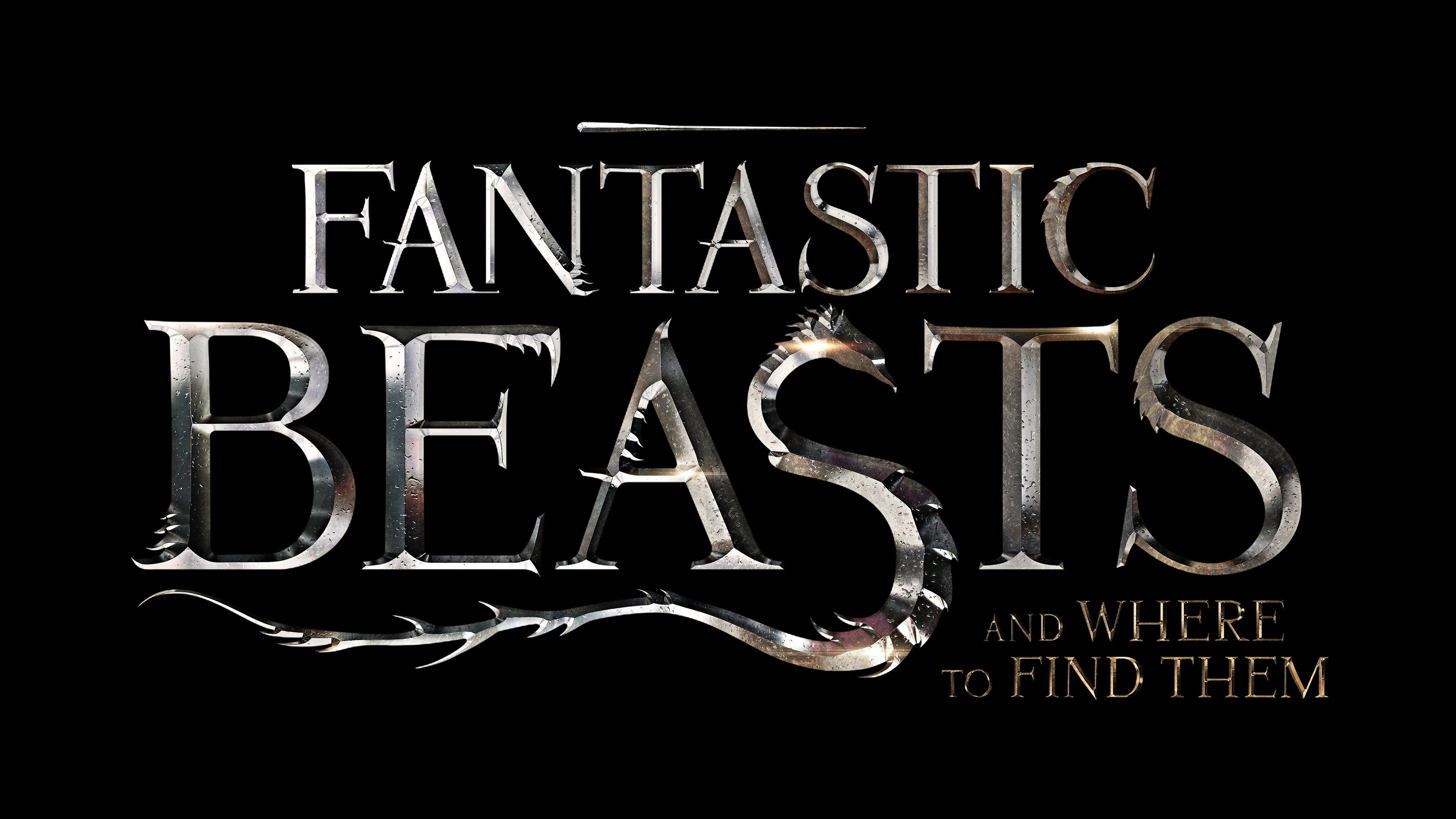 fantastic beasts and where to find them, 4K, HD Wallpaper