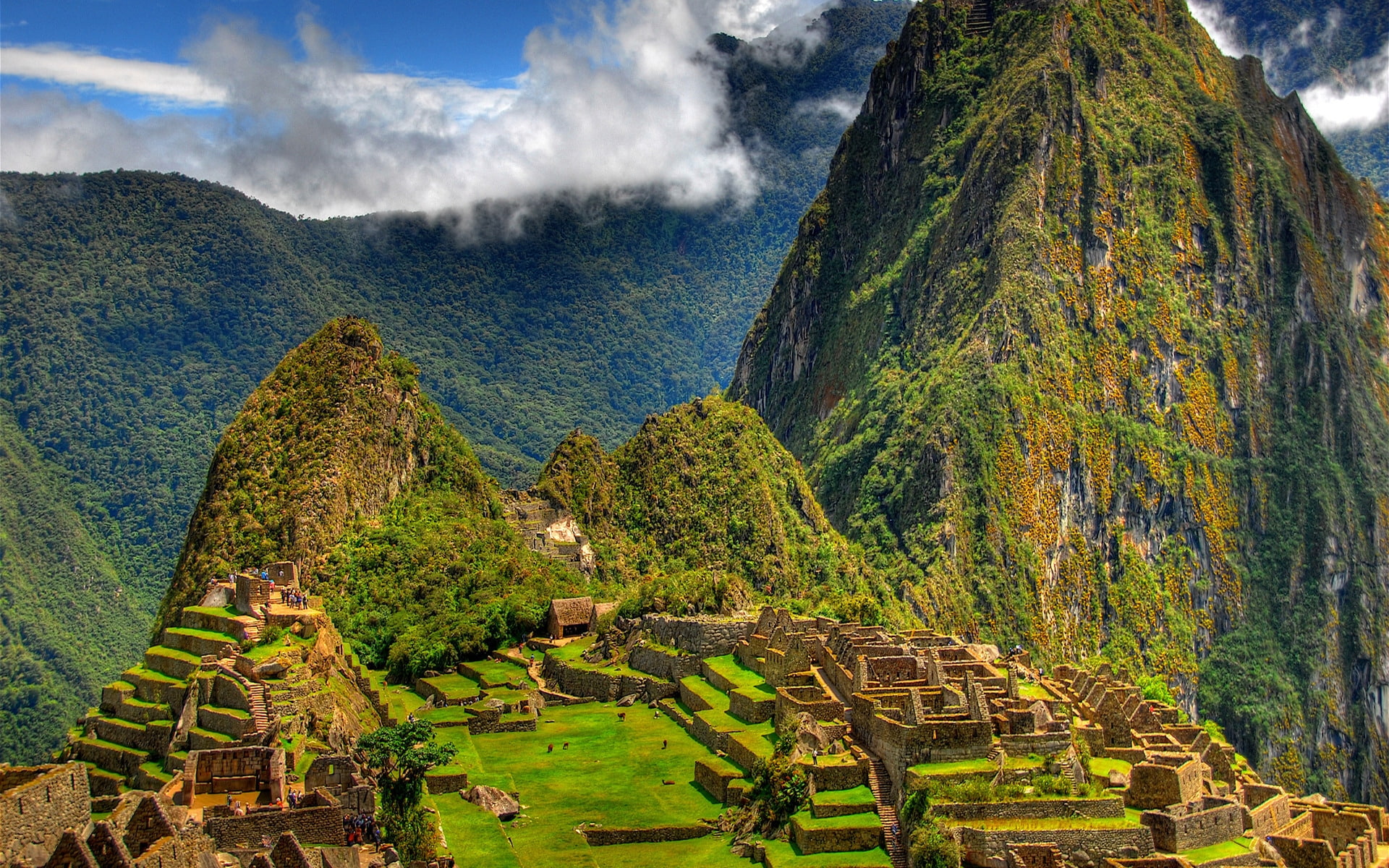 forest, ruins, 1080P, impressive, roks, monuments, HD Wallpaper