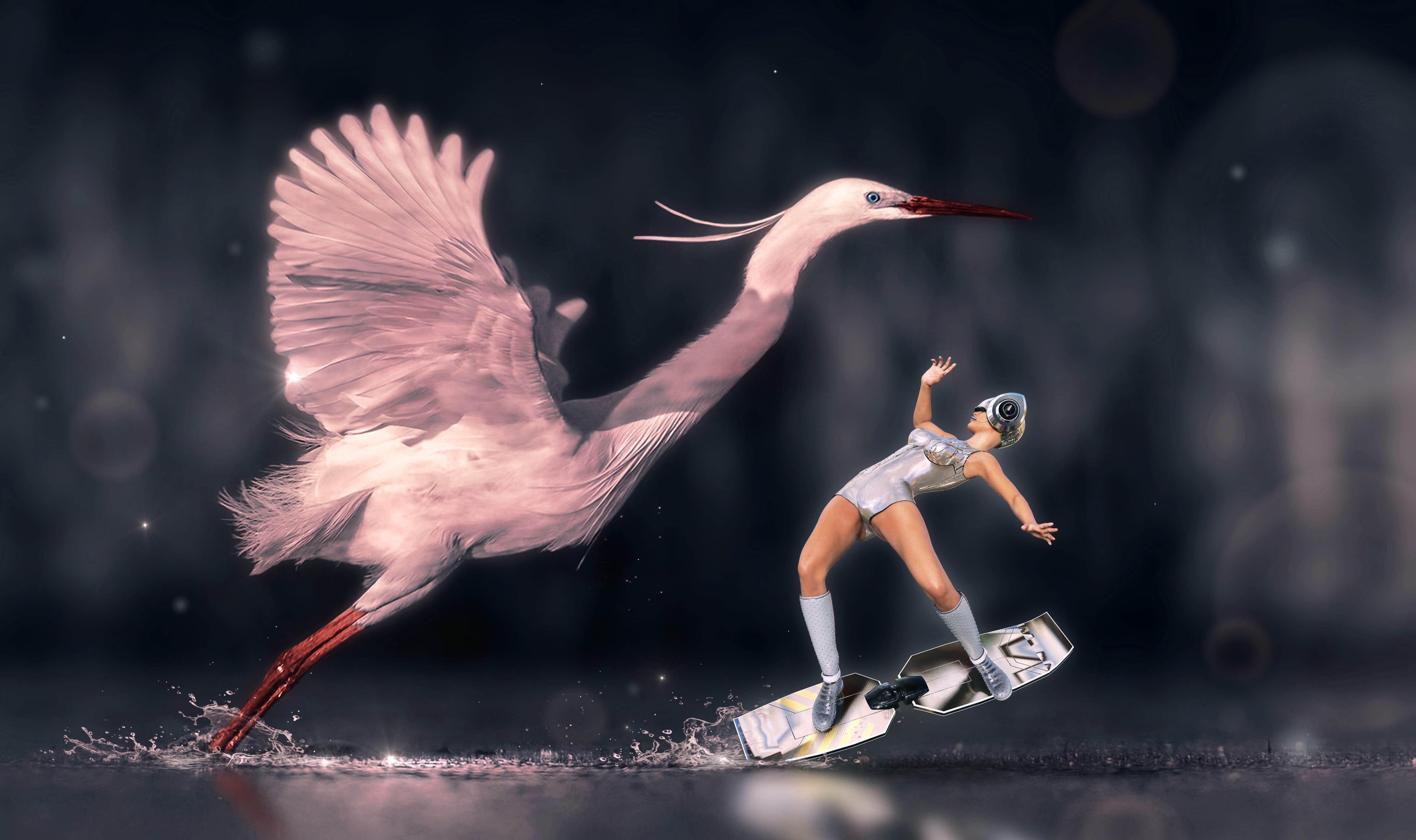 flying, side view, people, contrast, mid-air, encounter, photomontage, full length, water, digital composite, light, mysterious, animal wildlife, focus on foreground, HD Wallpaper