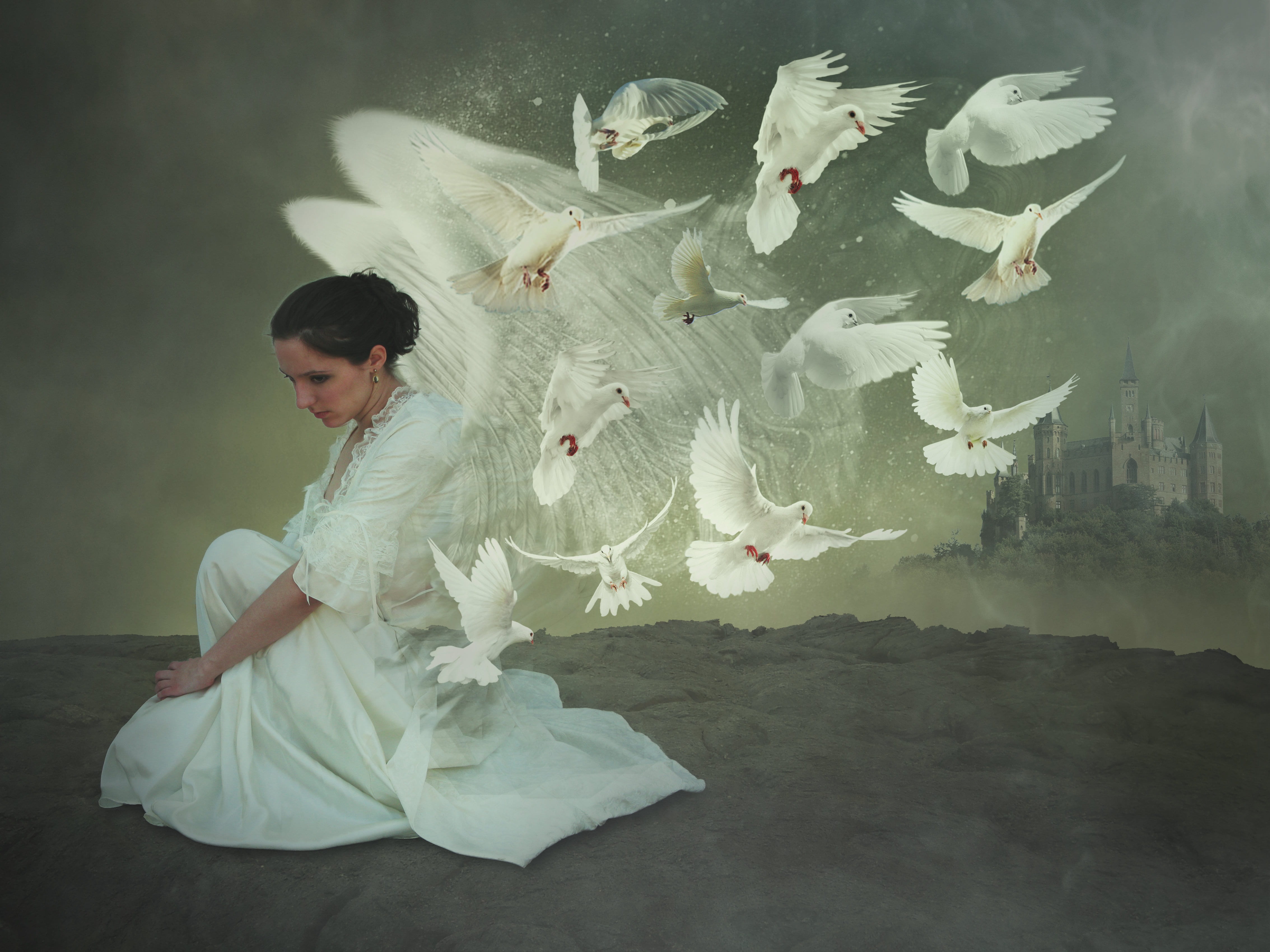 clothing, vertebrate, fantasy, wing, 4K, digital composite, full length, magic, beauty, angel, women, young women, real people, mystical, hope, looking, HD Wallpaper