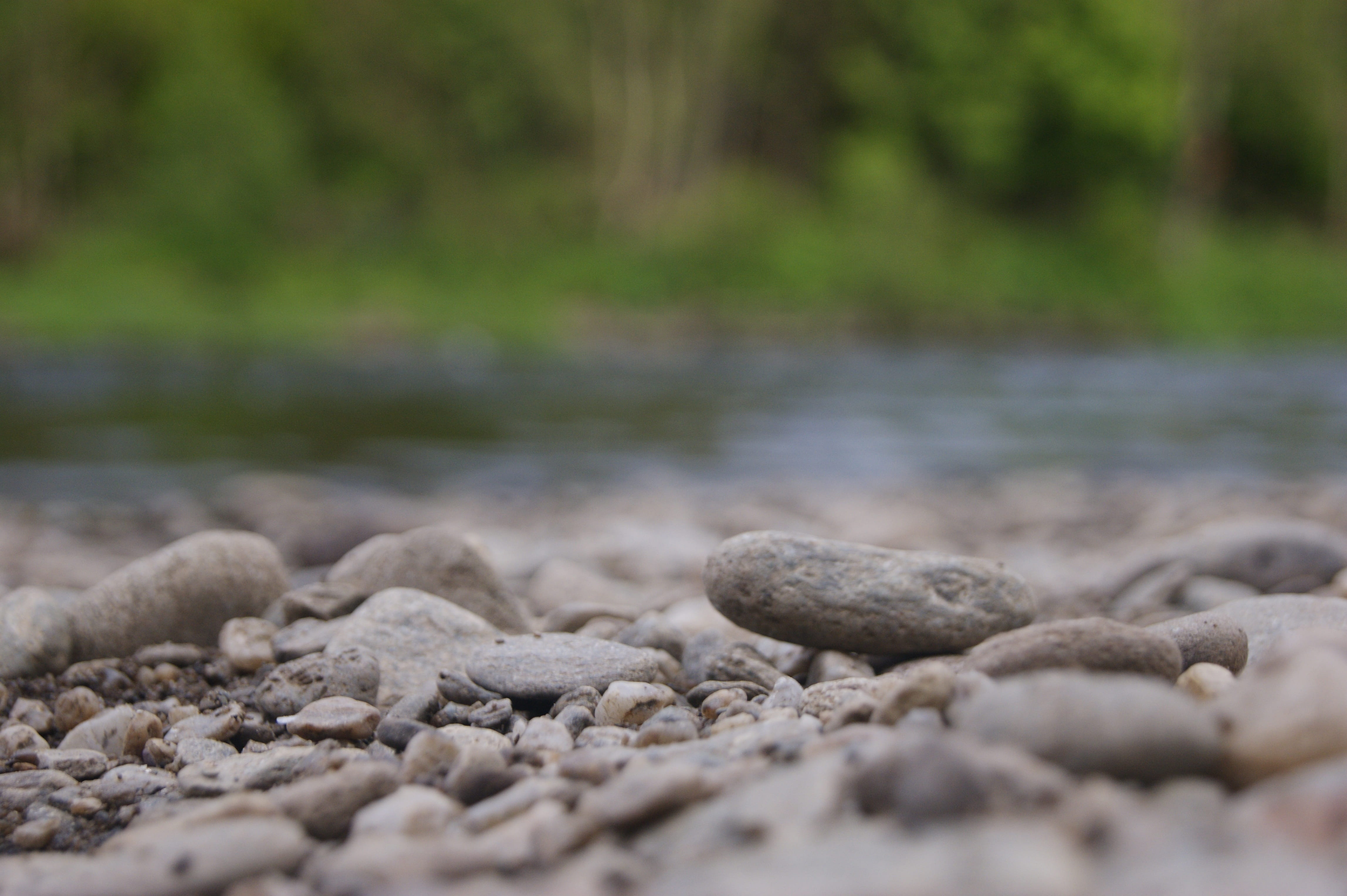 pebbles, land, day, 4K, peace of mind, beauty in nature, surface level, the background, outdoors, tree, hard, field, no people, solid, landscape, tranquility, HD Wallpaper