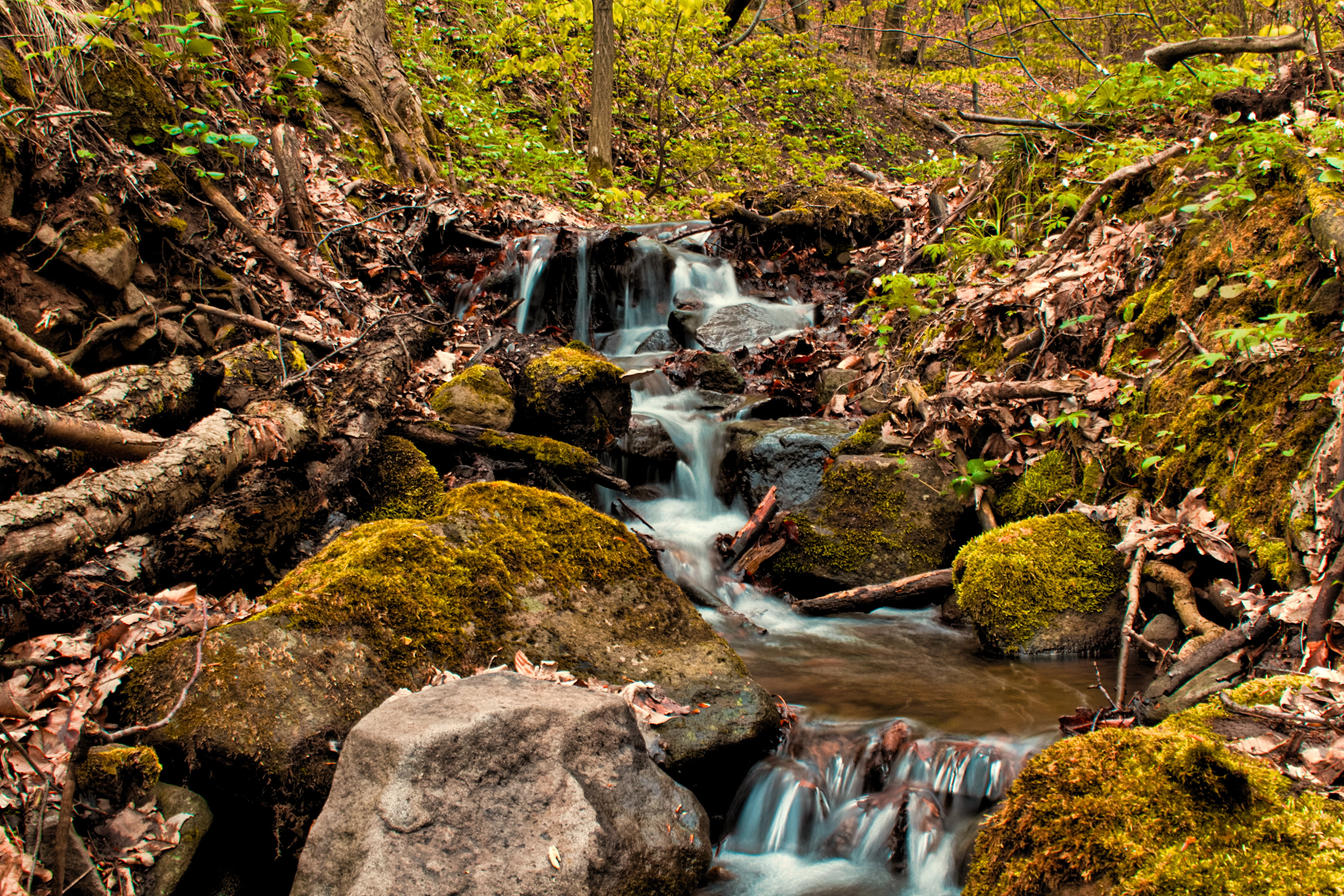 rocks, outdoors, peace of mind, scenics - nature, no people, rainforest, tree, solid, blurred motion, 5K, slovakia, power in nature, rock - object, rock, HD Wallpaper
