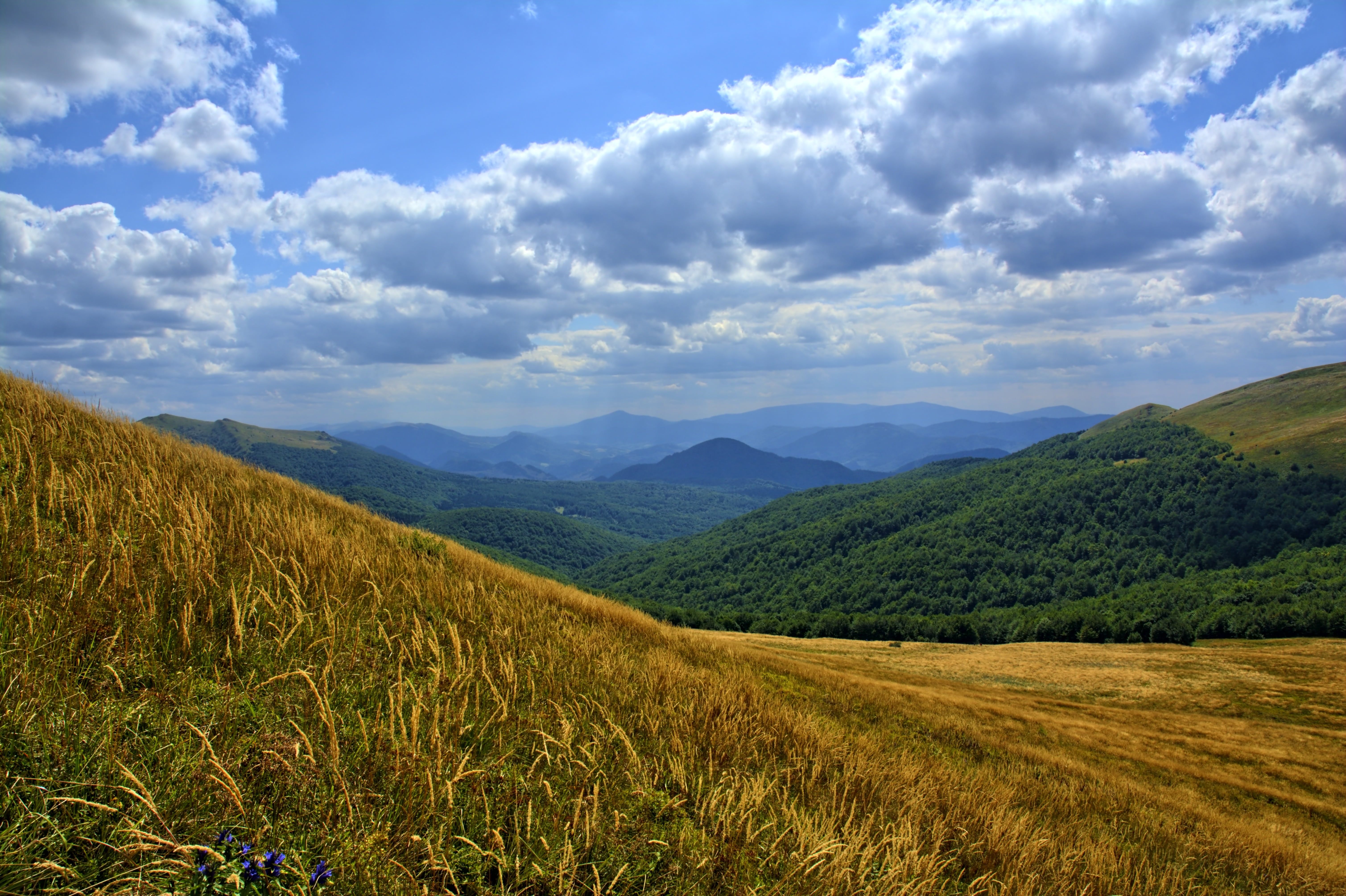 beauty in nature, no people, tranquil scene, bieszczady, daytime, top view, the horizon, scenics - nature, tourism, panorama, tranquility, trail, mountain, HD Wallpaper