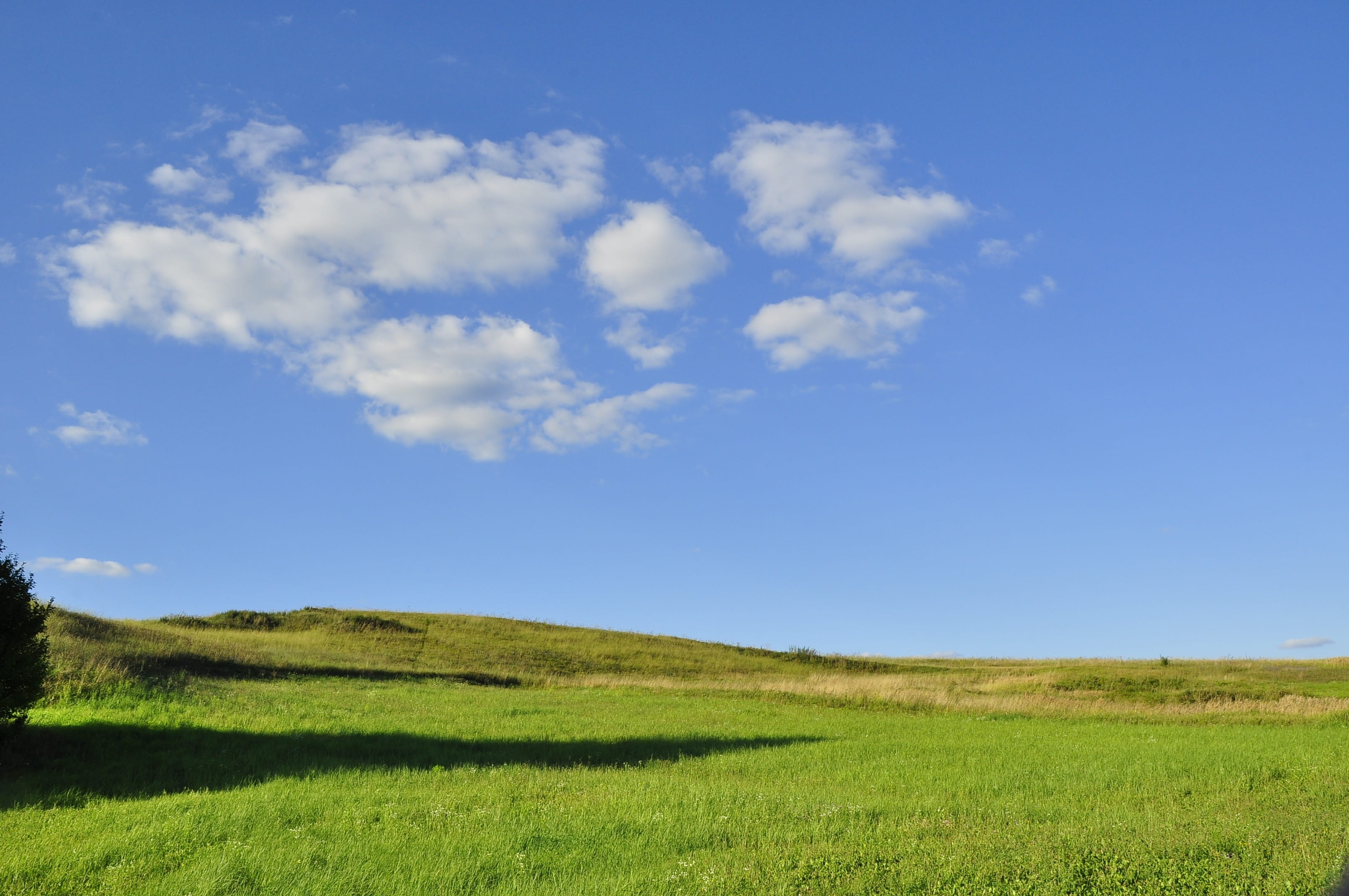 day, non-urban scene, field, nature, blue, plant, peace of mind, sky, no people, meadows, scenics - nature, the background, tranquility, green color, summer, HD Wallpaper