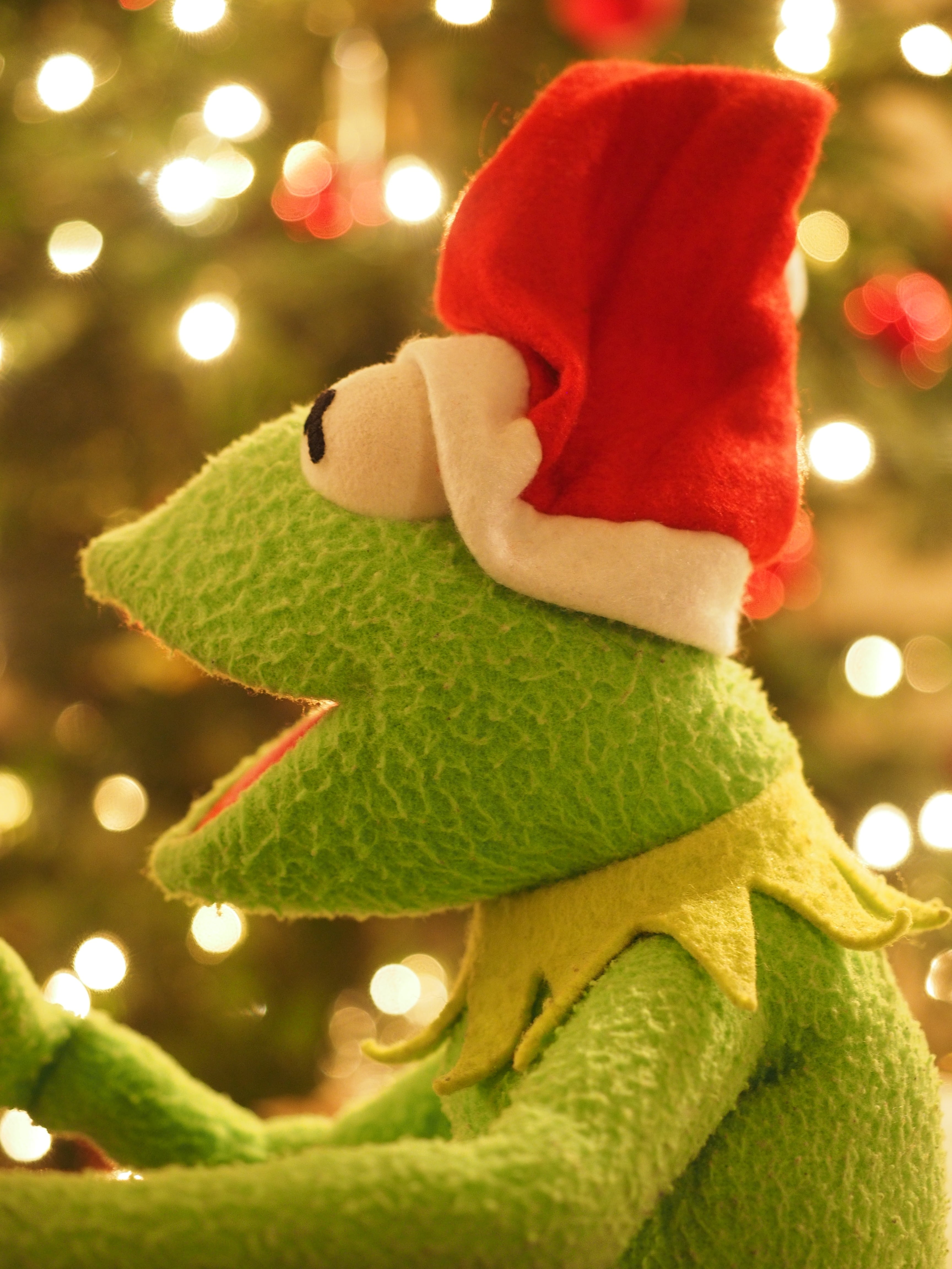 close-up, decoration, red, cheerful, indoors, santa claus, christmas ornament, celebration, christmas frog, funny, holiday - event, 4K, christmas, christmas lights, Phone HD Wallpaper