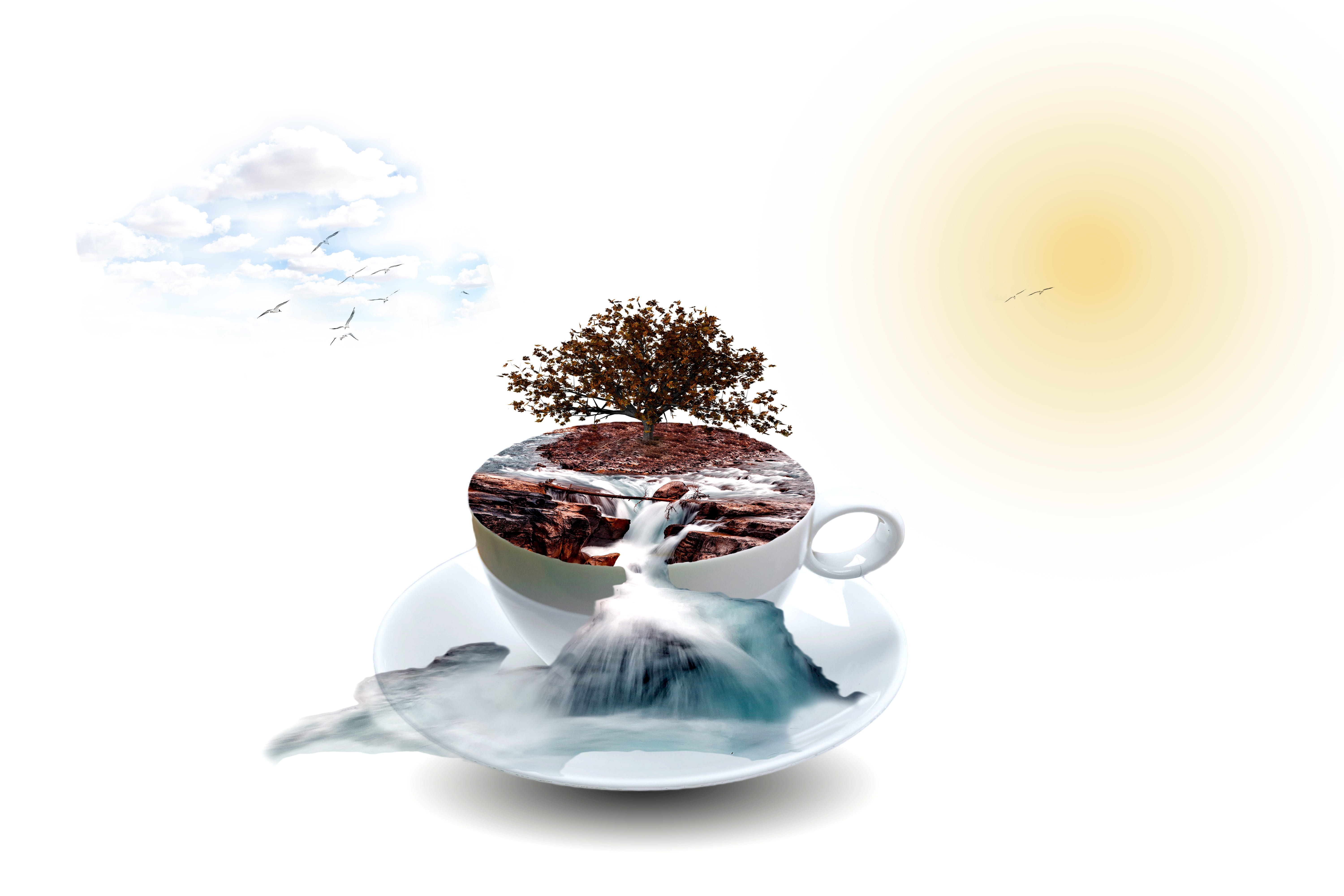 copy space, 5K, freshness, good morning, fantasy picture, fantasy, cup, growth, plant, ceramic, hot drink, no people, mug, white background, waterfall, HD Wallpaper