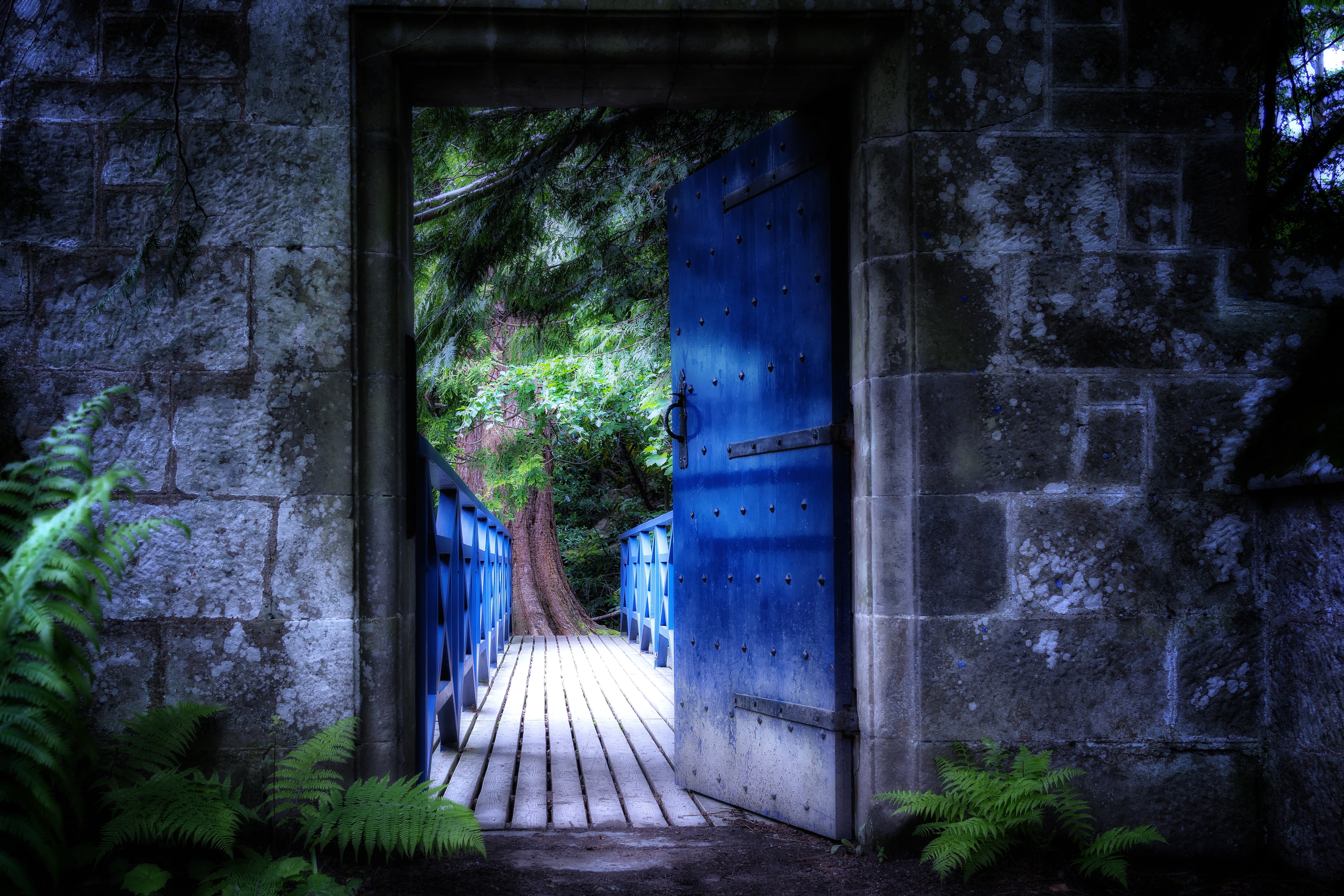 5K, darkness, gloomy, mood, midnight, mystical, plant, input, entrance, house, building exterior, panel, direction, gate, bridge, near, outdoors, dark, HD Wallpaper