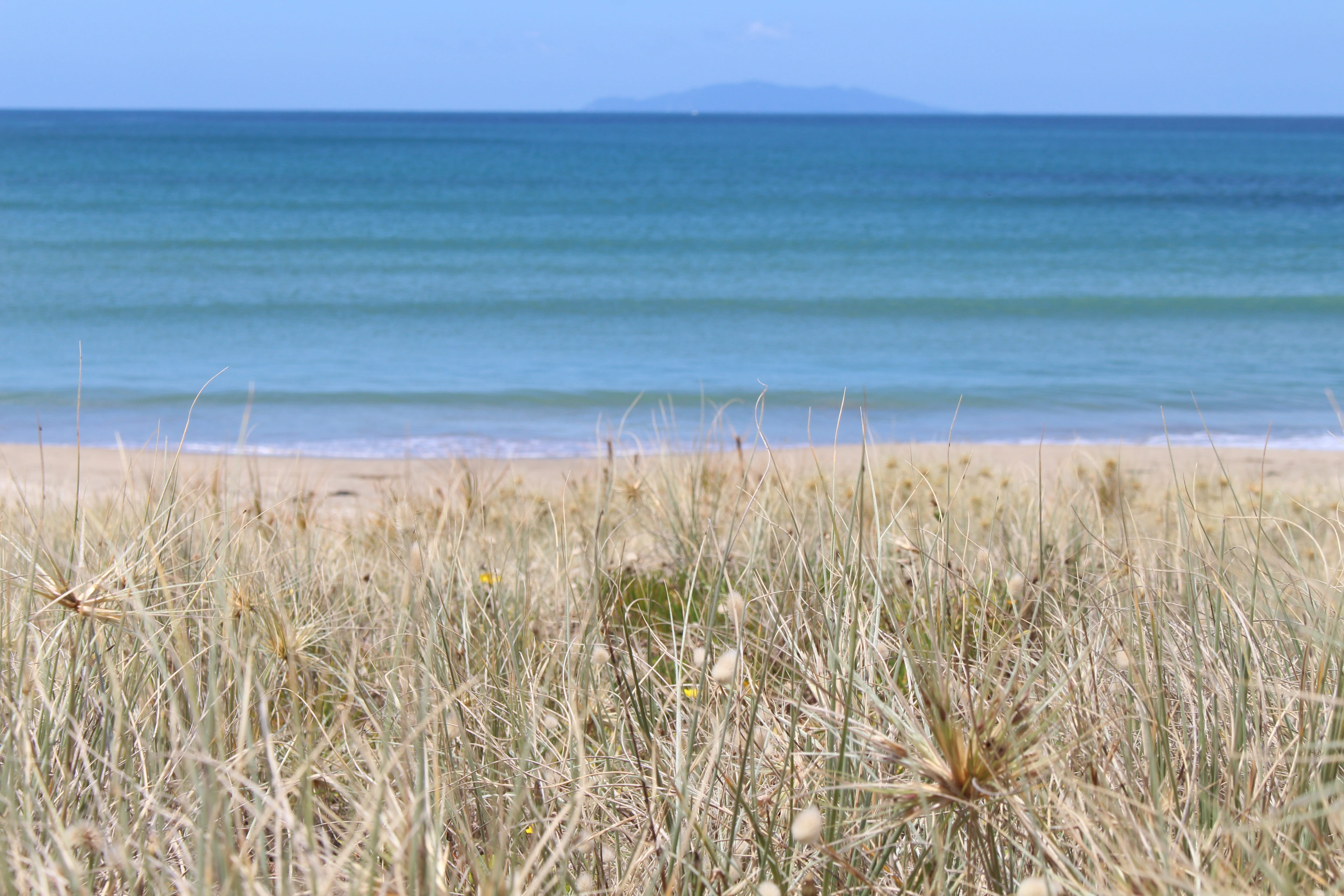 sand, soft, New Zealand, nature, scenics, no people, gentle, sea, recovery, paradise, plant, water, horizon over water, scenics - nature, beach, mood, sky, HD Wallpaper