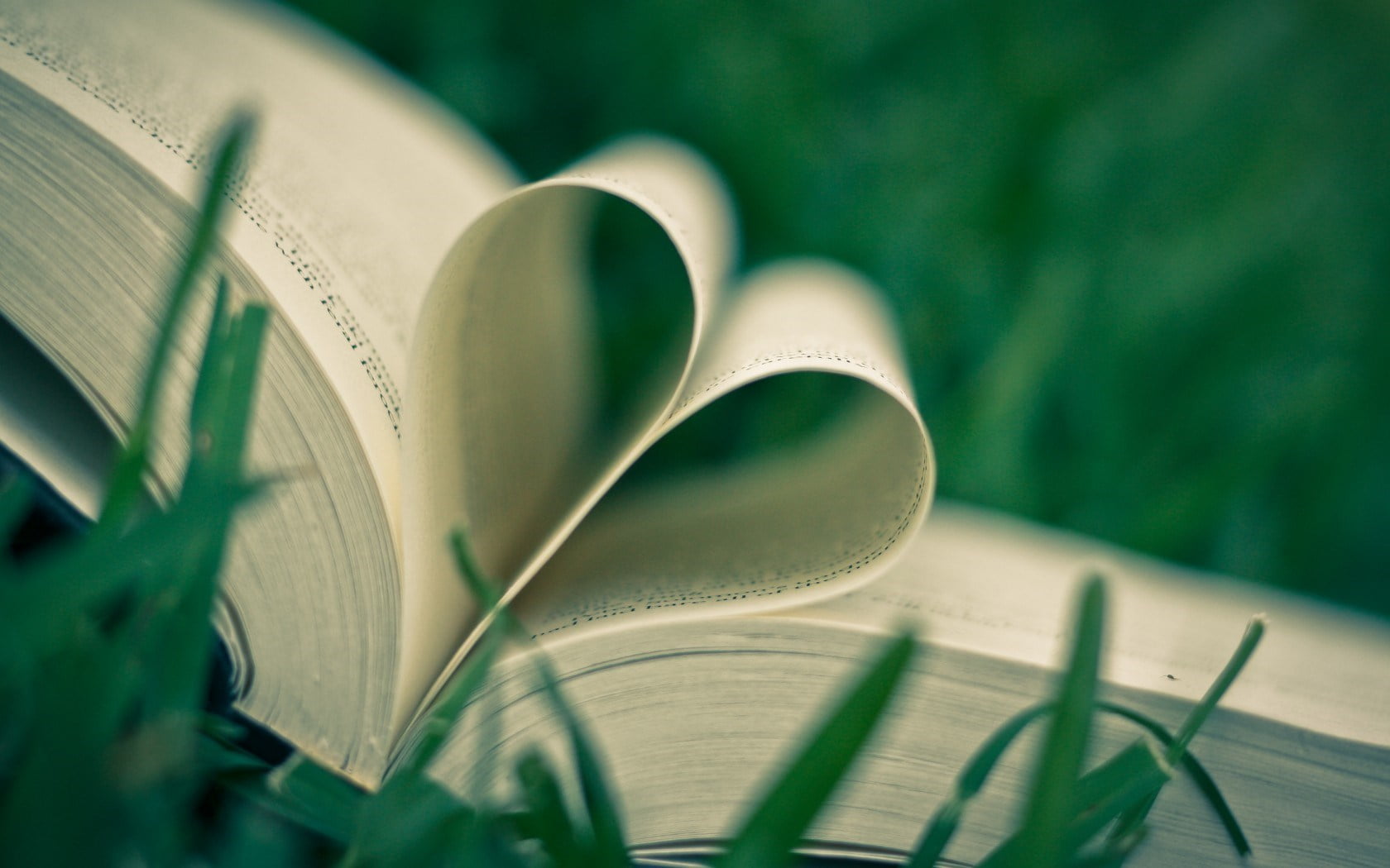 still life, text, book, grass, group of objects, publication, page, learning, studying, activity, open, indoors, heart, opened, paper, sunlight, art, 720P, HD Wallpaper