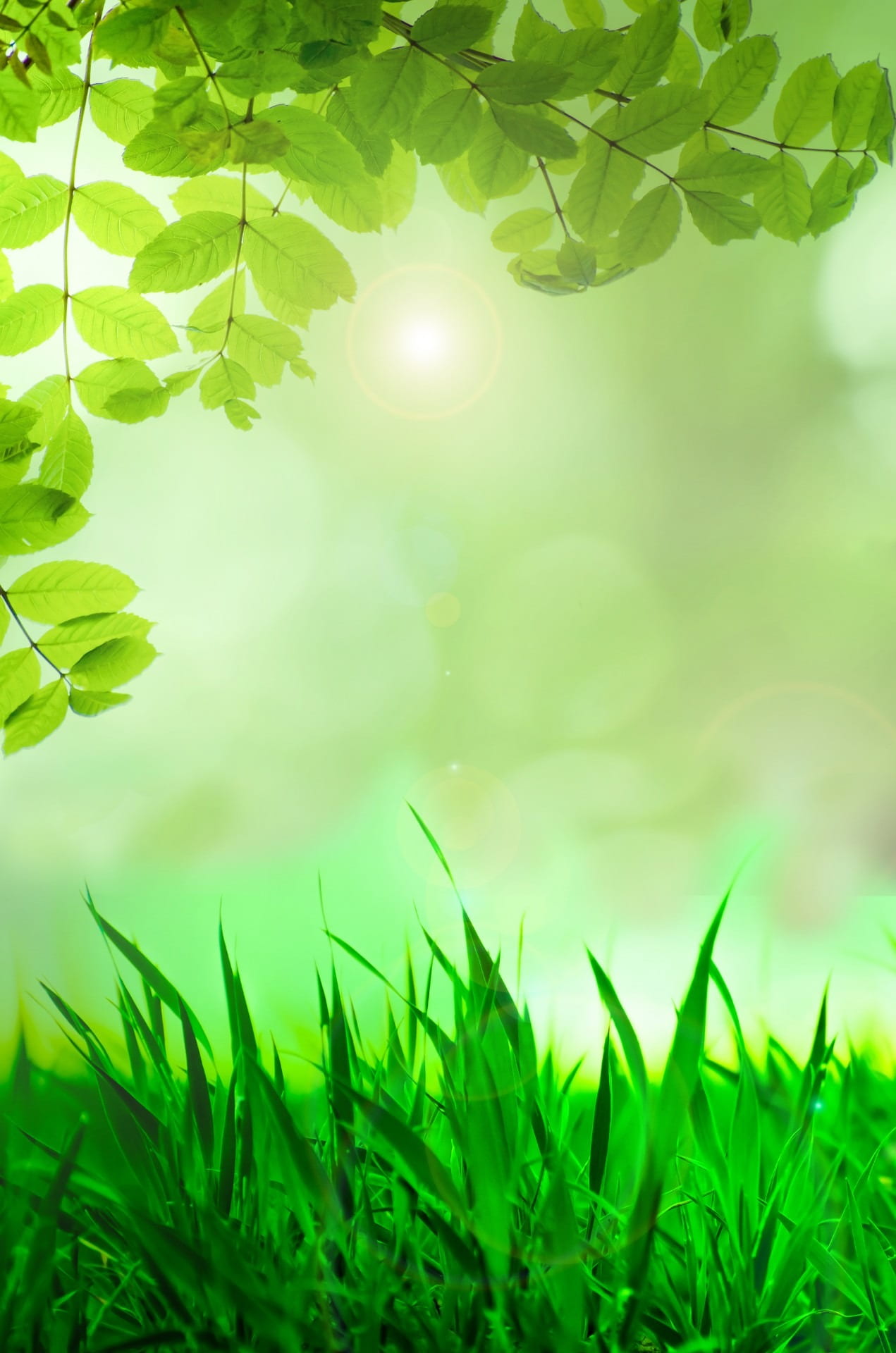 bokeh, green, easter, beauty in nature, vibrant, leafed, focus on foreground, selective focus, field, brightly lit, plant, bright, leaves, leaf, plants, Phone HD Wallpaper