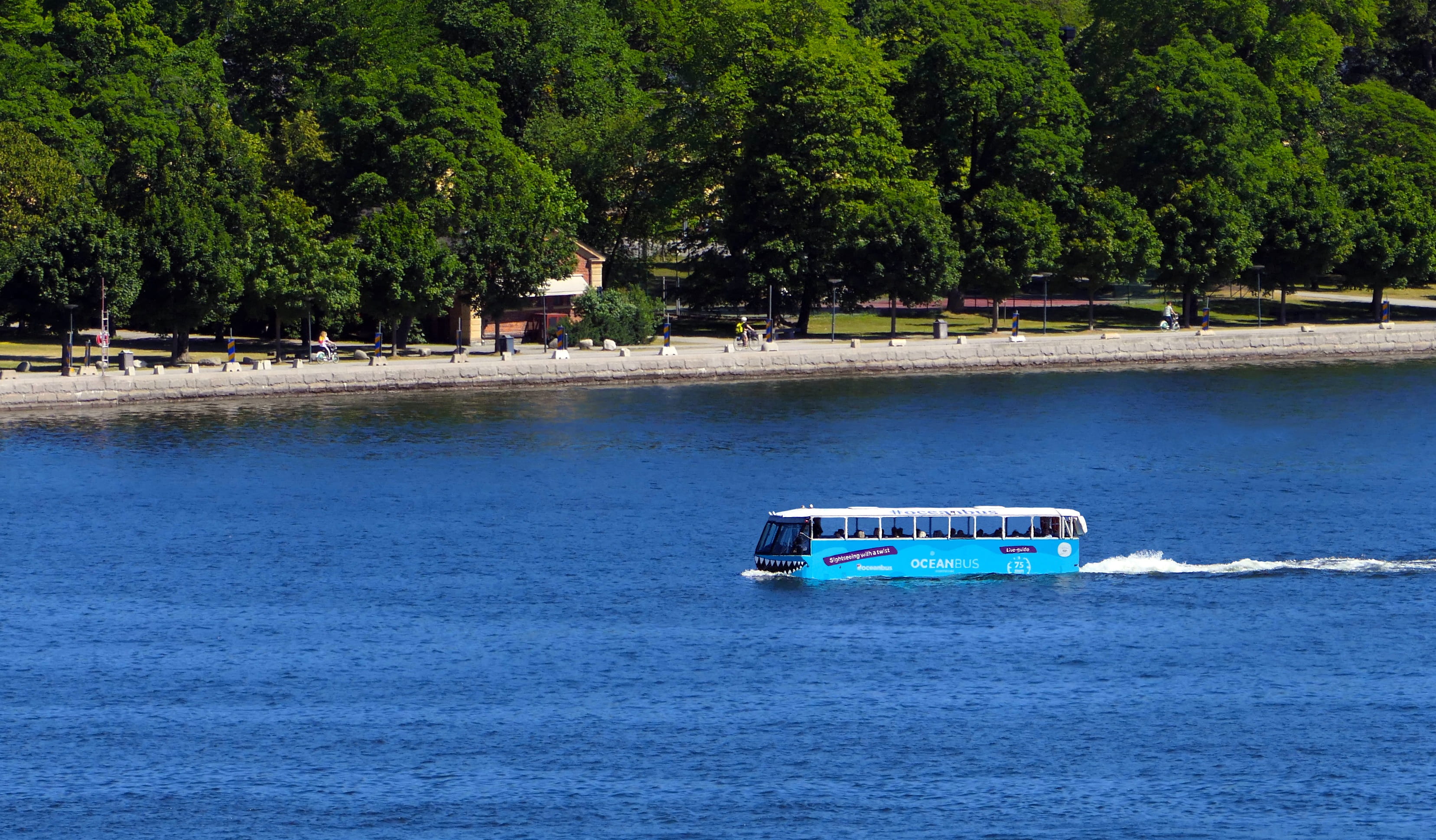 sea, beauty in nature, 2K, nature, water, growth, bus, vehicle, day, nautical vessel, yk, floating on water, built structure, amphibious, oceanbus, HD Wallpaper