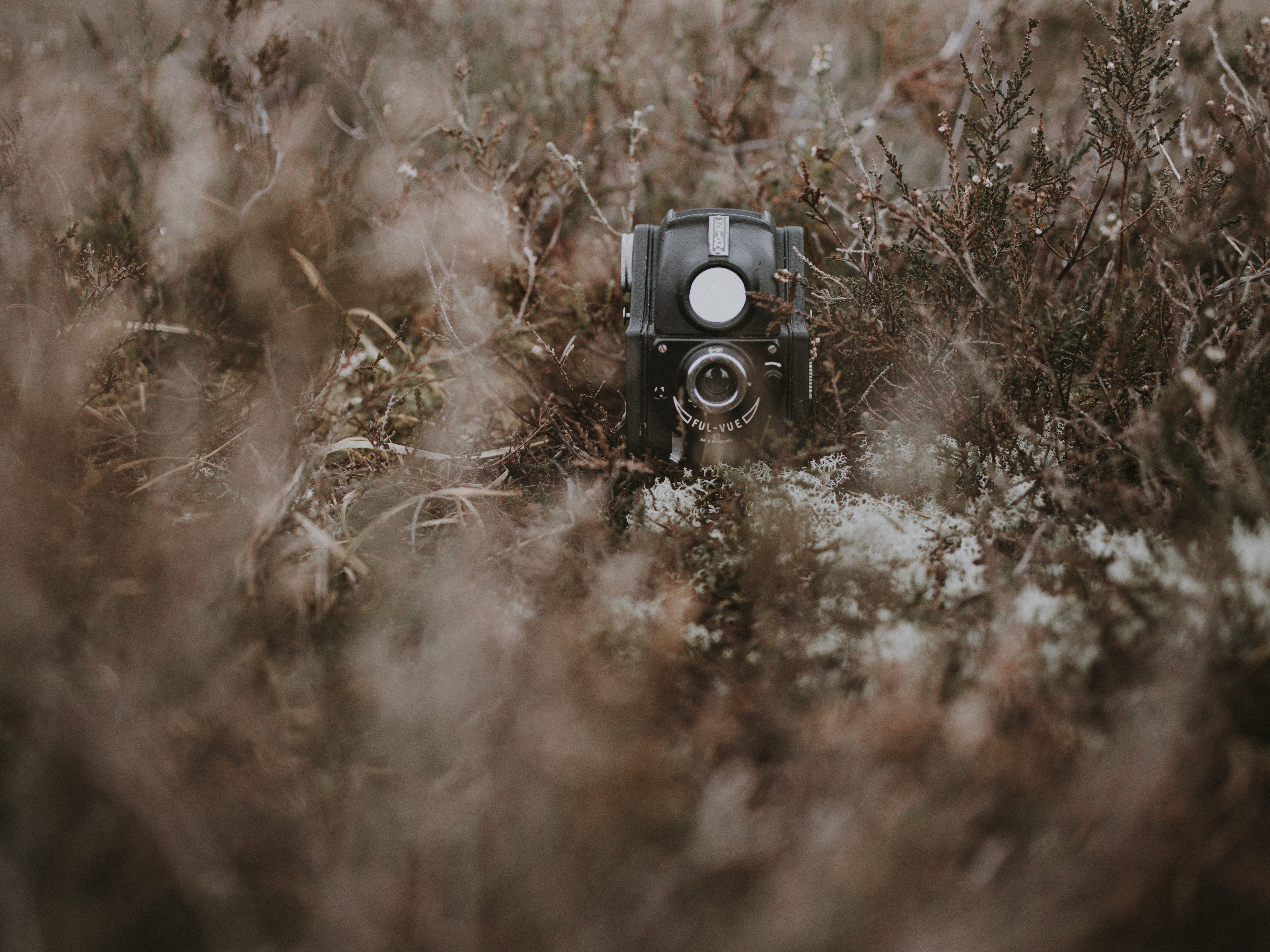 land, machine, black, arts culture and entertainment, plant, electronics, photography themes, military, light, field, close-up, military uniform, buggy, HD Wallpaper