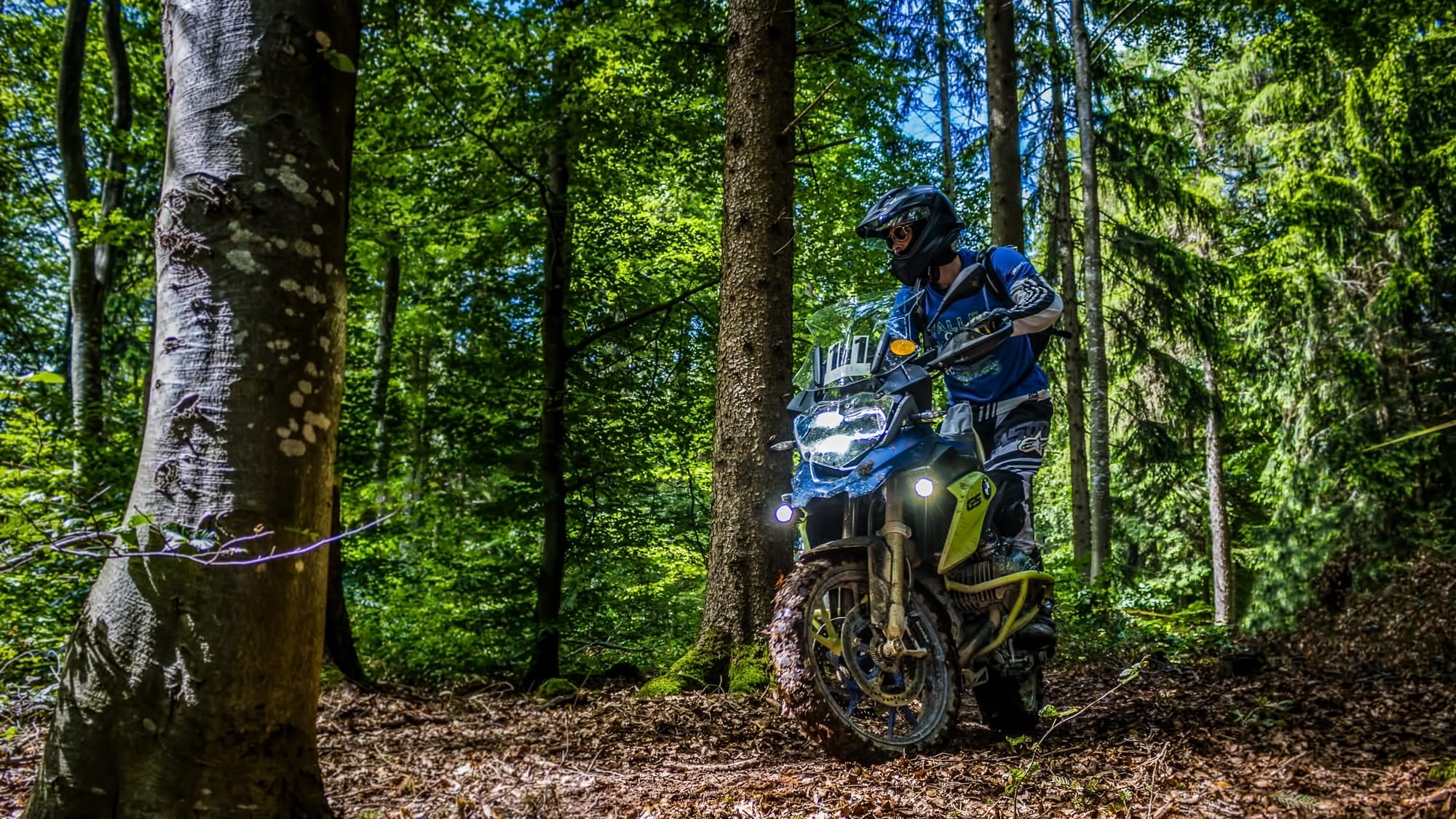 casual clothing, nature, trunk, real people, land, plant, riding, gs1200, bmw, lifestyles, day, enduro, one person, outdoors, 1080P, tree trunk, forest, HD Wallpaper