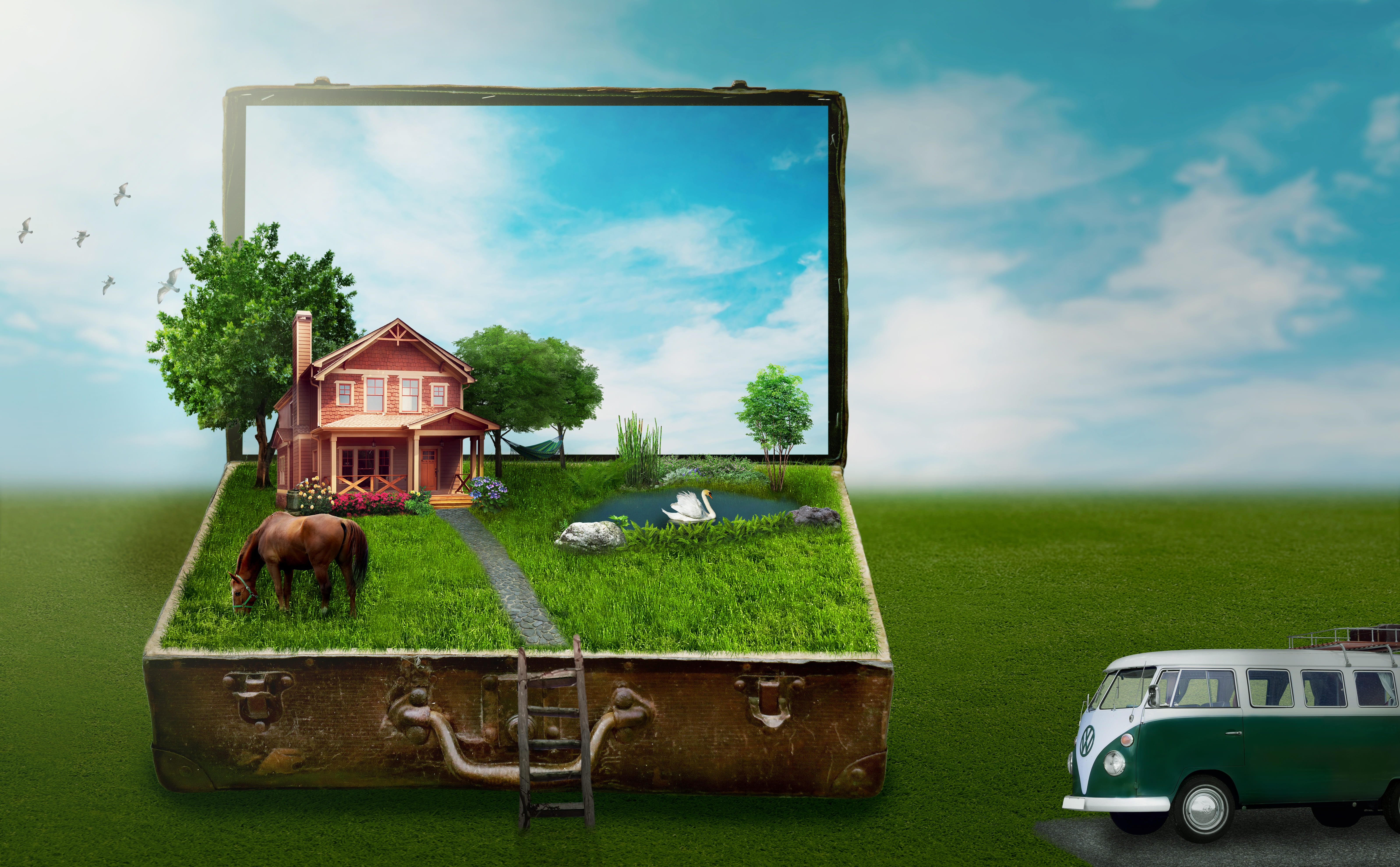 plant, miniature, nature, horse, lake, tree, idyllic, holiday plans, bulli, brown, near, house, mode of transportation, outdoors, flowers, road, clouds, HD Wallpaper