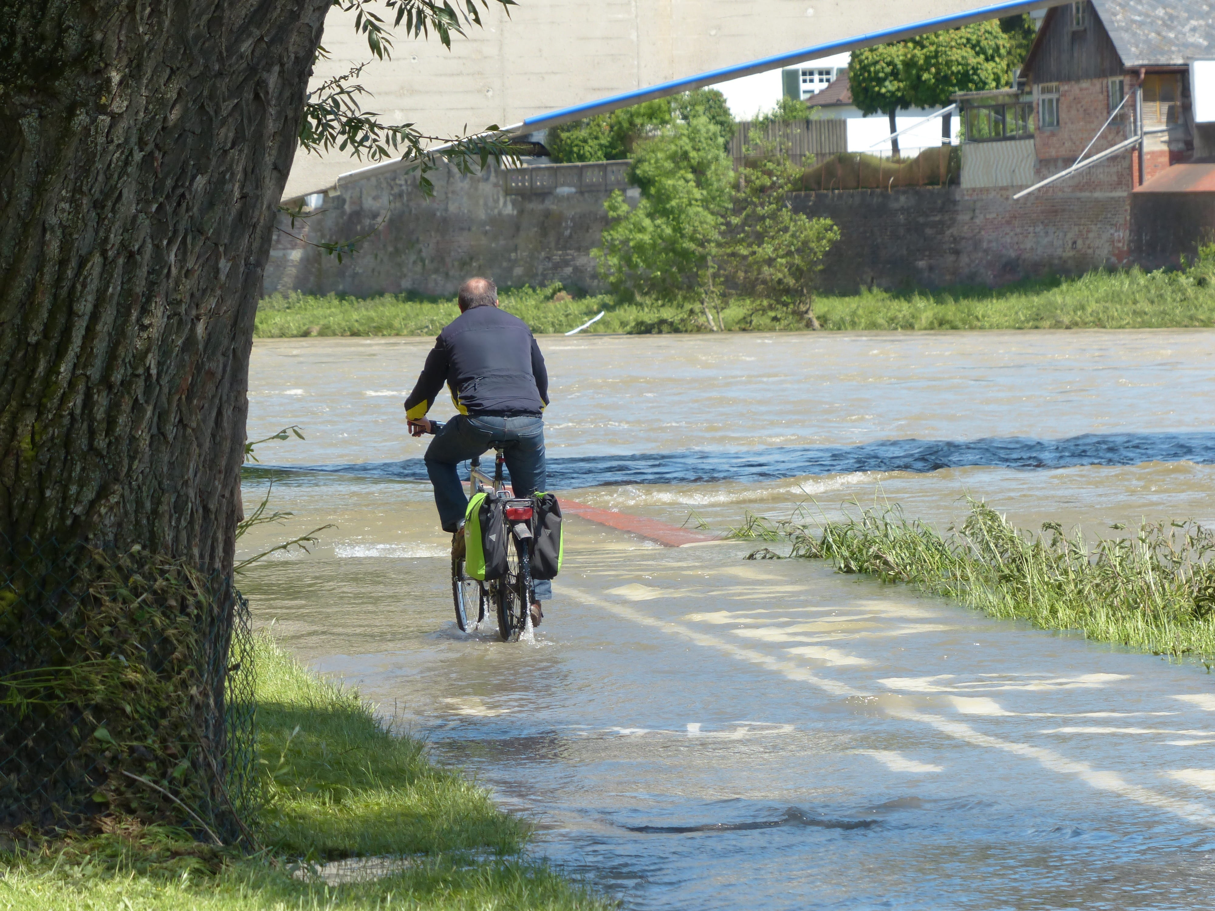 Get Wet, flooded, transportation, tree, too low, sport, people, rear view, leisure activity, outdoors, danube, plant, lifestyles, away, men, attempt, 4K, HD Wallpaper
