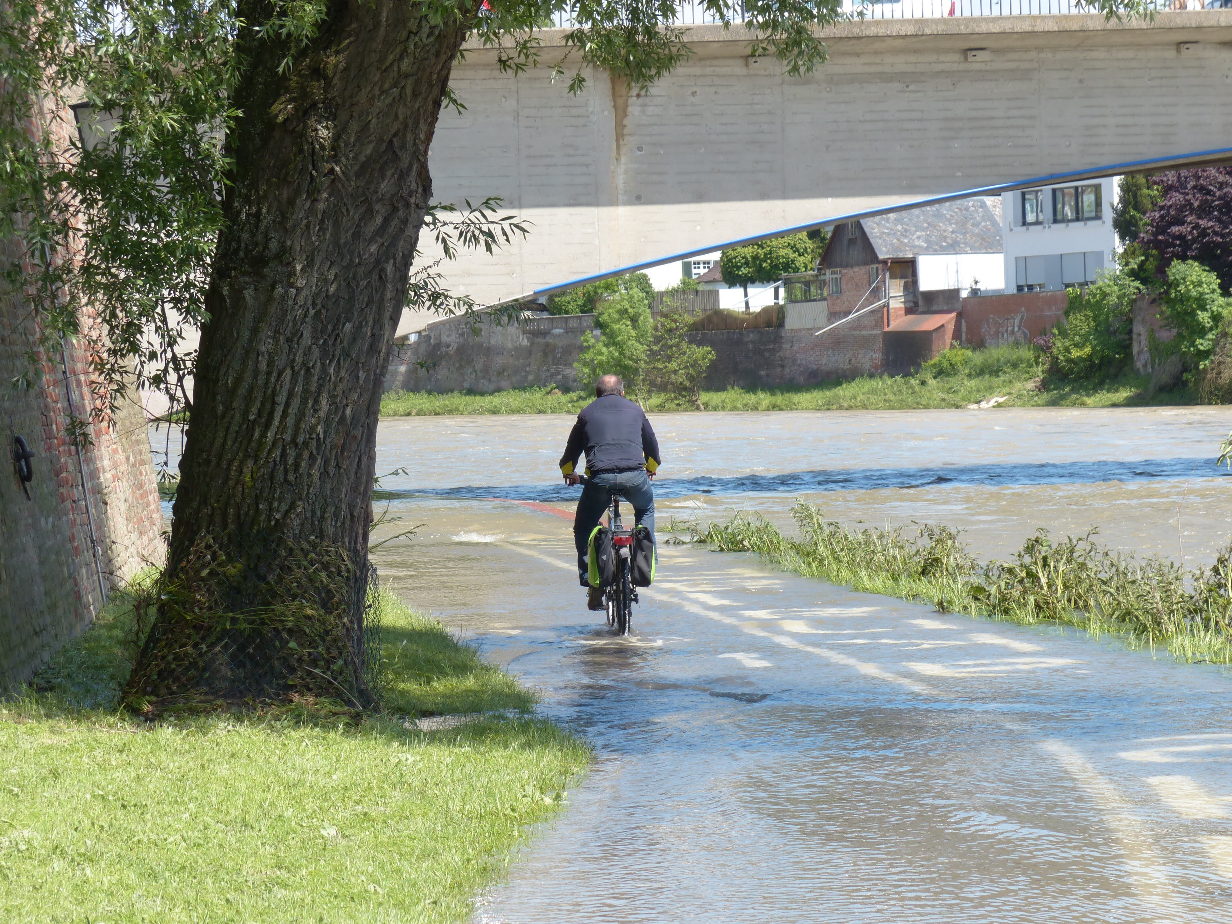 plant, leisure activity, cycle path, get wet, flood, built structure, full length, danube, tree, men, high water, transportation, away, people, architecture, HD Wallpaper