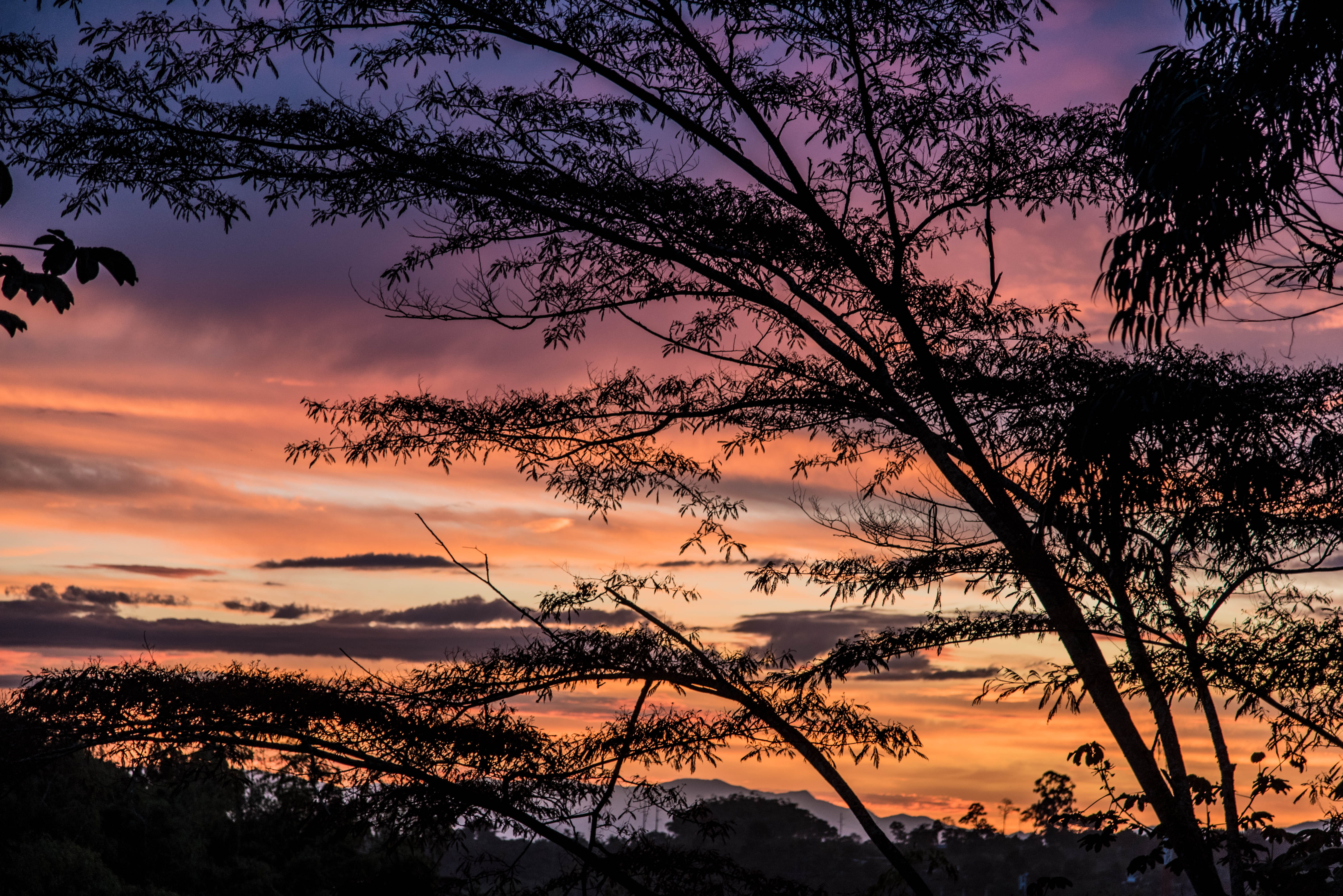 contraluz, tranquil scene, romantic sky, outdoors, colombia, idyllic, non-urban scene, cloud - sky, colors, silhouette, orange color, contraste, dusk, dramatic sky, HD Wallpaper