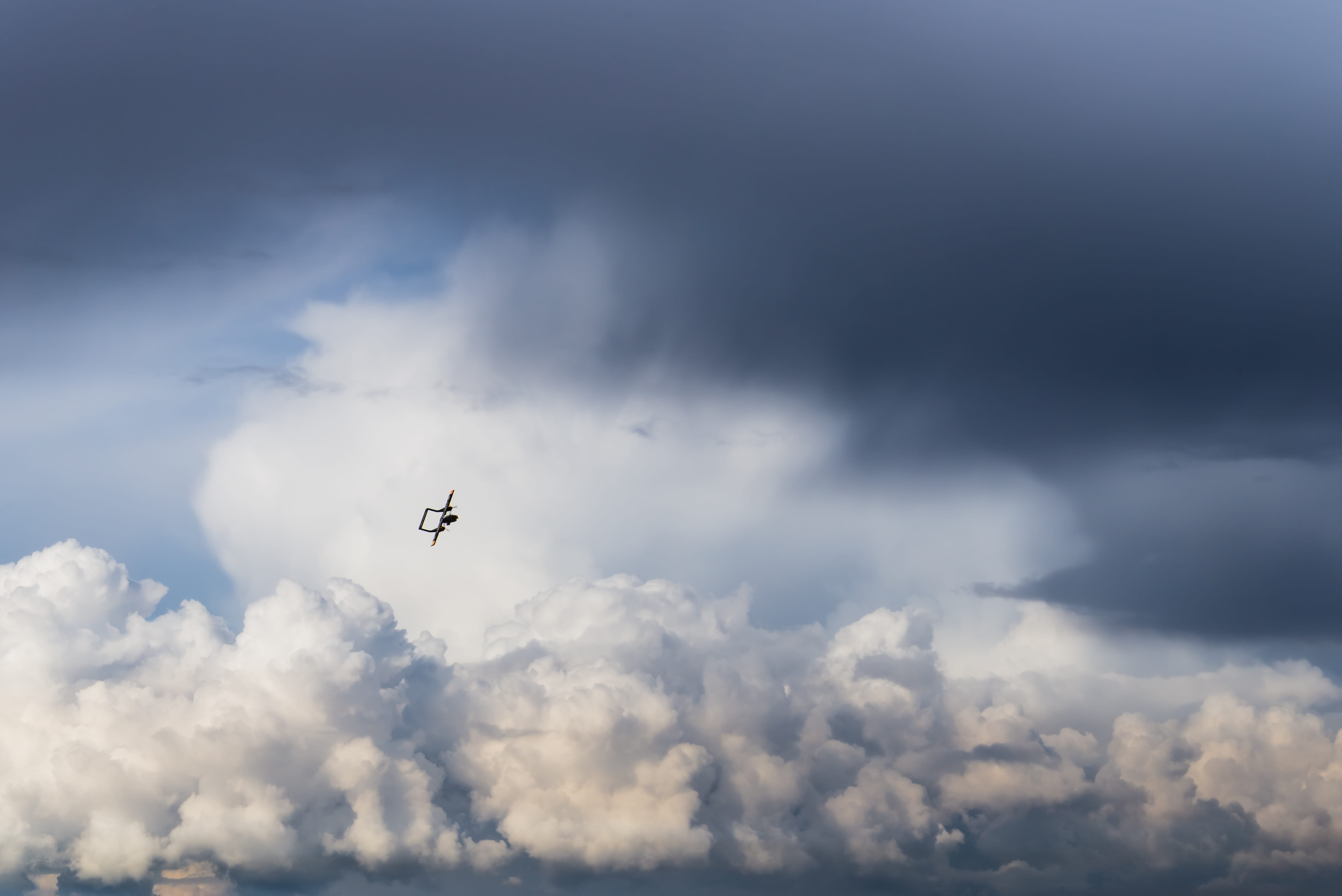 backlit, no people, beauty in nature, stormy weather, bird, mid-air, animal, low angle view, vertebrate, outdoors, motion, mode of transportation, scampton, HD Wallpaper