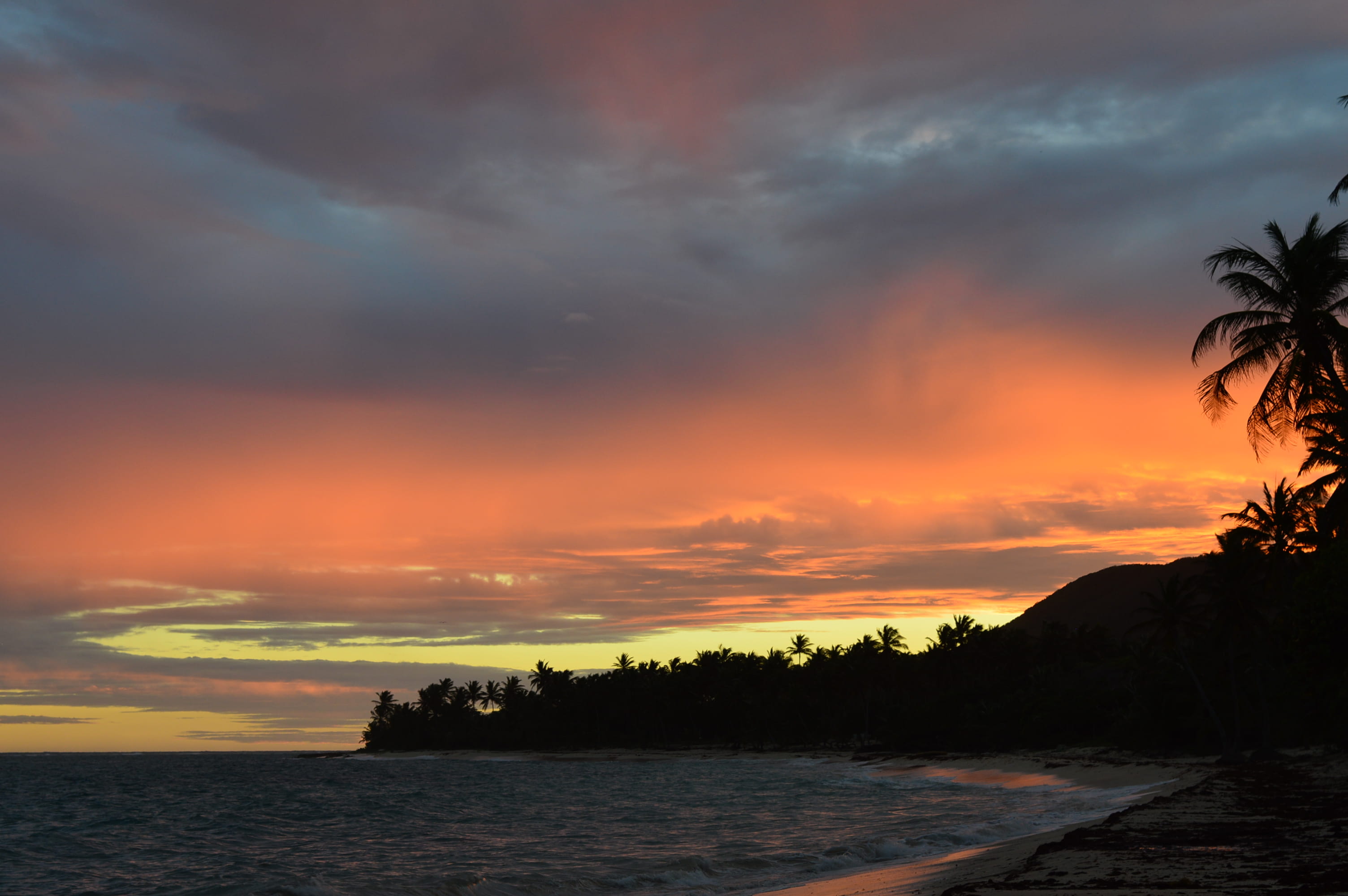 idyllic, guadeloupe, non-urban scene, french west indies, sky, water, tree, marie-galante, sunset, la feuillère, tranquility, plant, silhouette, scenics - nature, HD Wallpaper