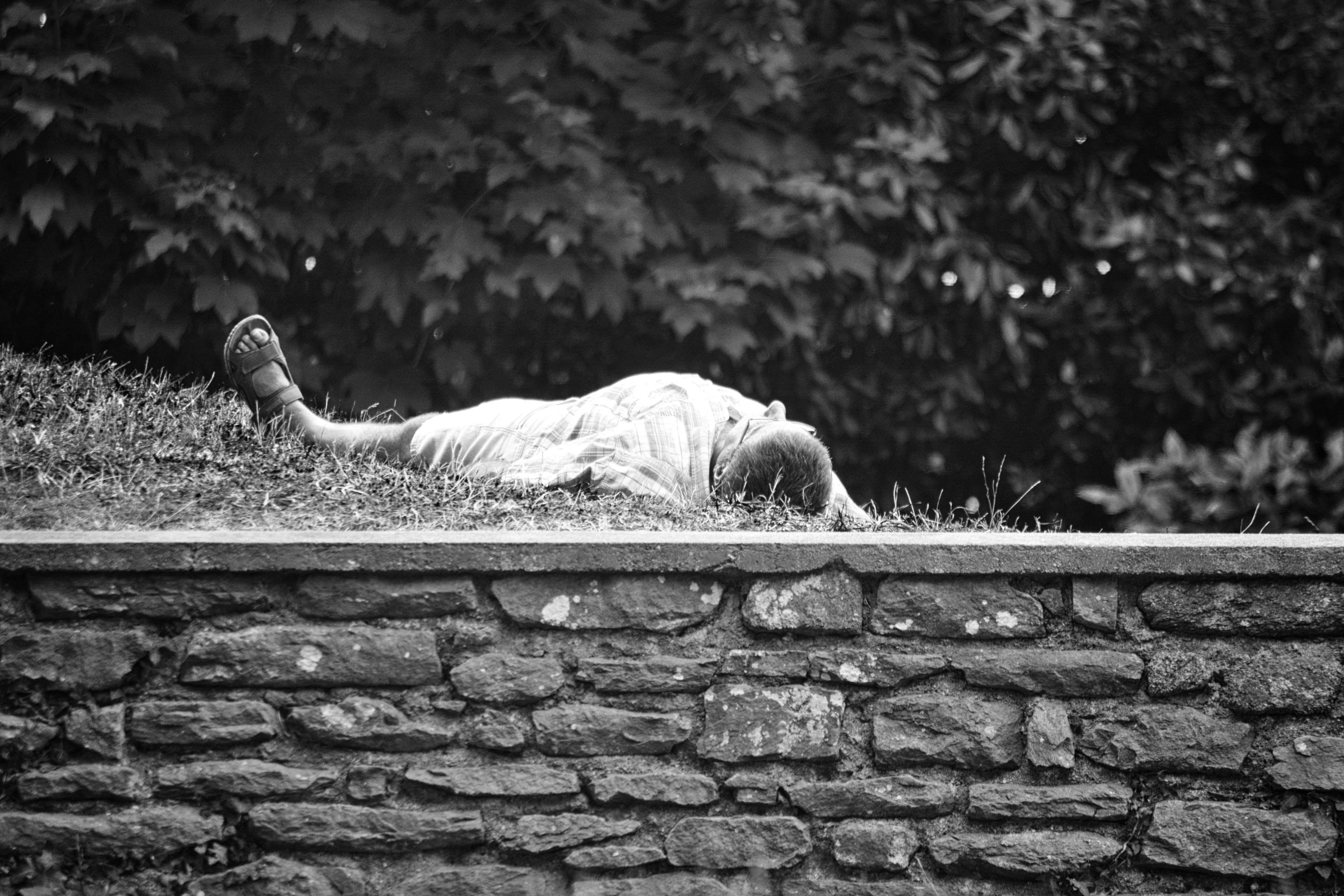 vertebrate, brick wall, jardin public, one animal, sommeil, day, architecture, animal themes, cat, animal, built structure, pets, feline, stone wall, domestic, HD Wallpaper