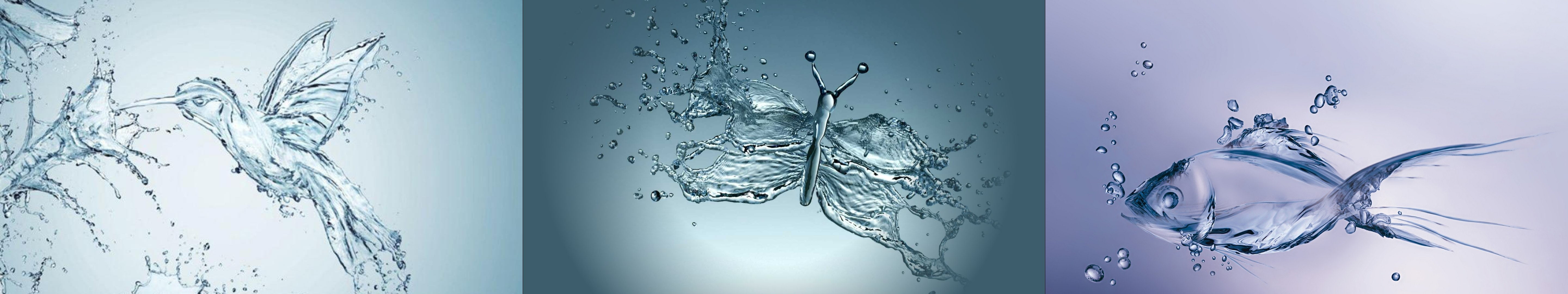 monitor, bubble, digital composite, panoramic, nature, studio shot, indoors, screen, transparent, 5K, multiple, abstract, water, triple, Eau, art, animal, HD Wallpaper