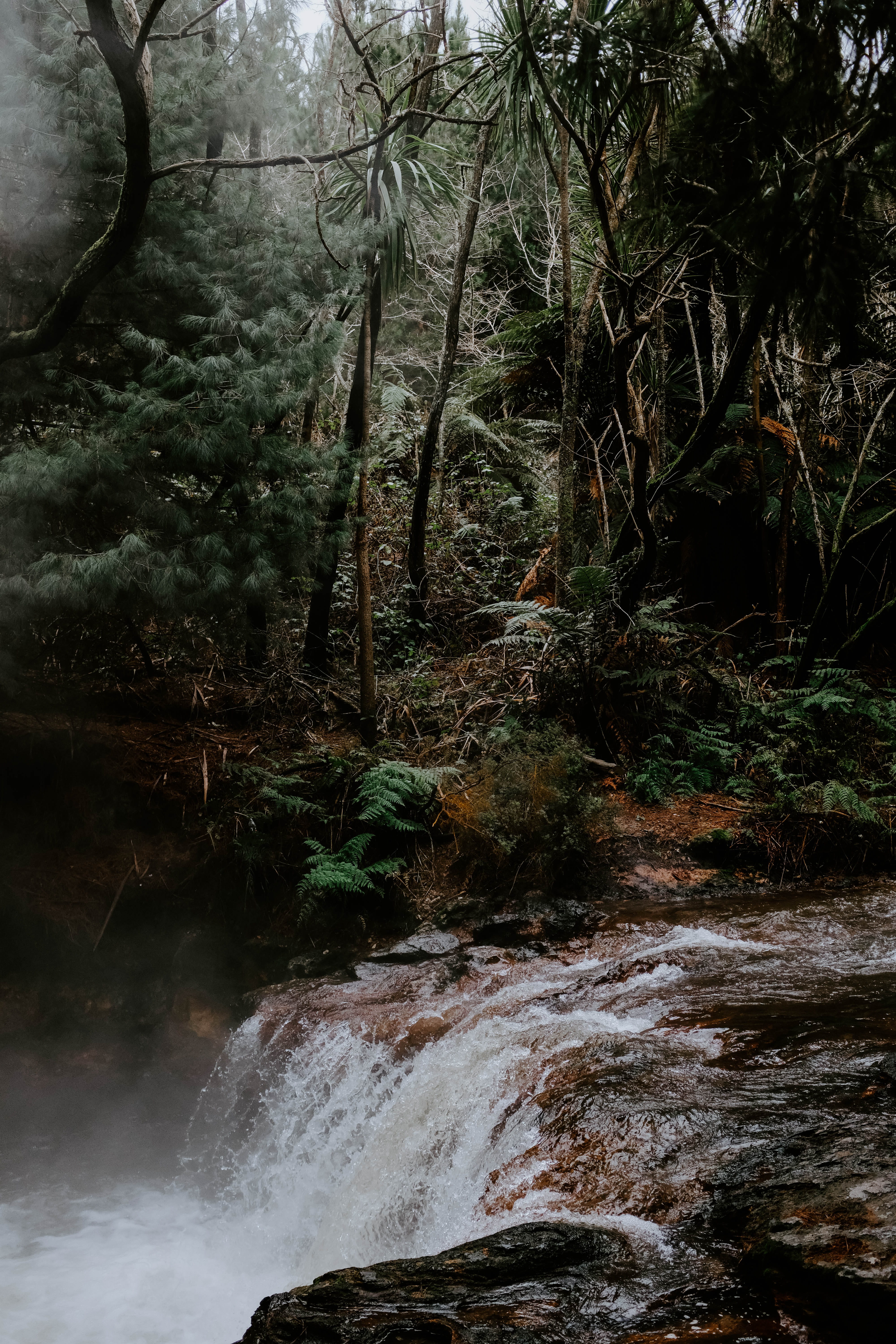 landscape, surrounded, tree, stream, river, cascade, bush, falling, beauty In Nature, fougere, no People, riviere, flowing Water, plant, tropical Rainforest, Phone HD Wallpaper