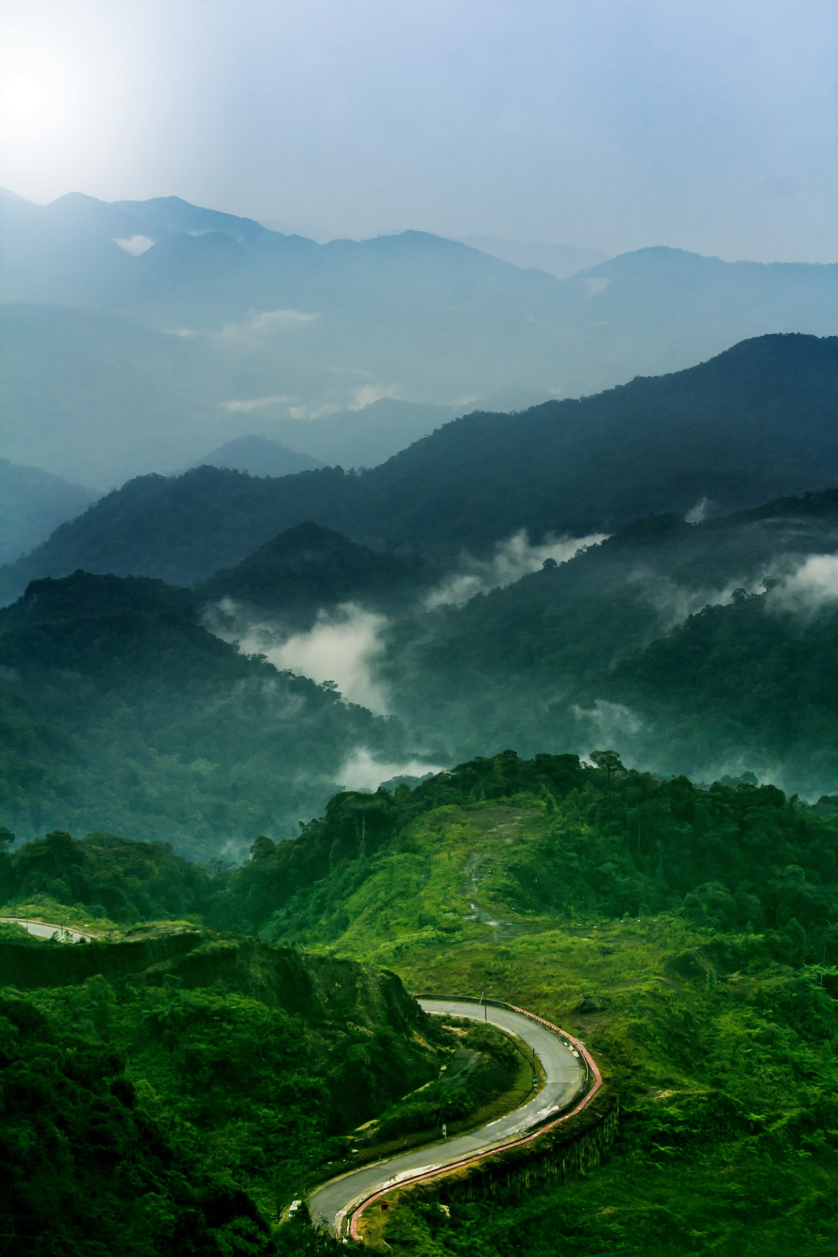 countryside, transportation, 5K, cable, tree, land, high, highlands, mountain, genting highland, no people, mountain peak, fog, tranquility, tranquil scene, Phone HD Wallpaper