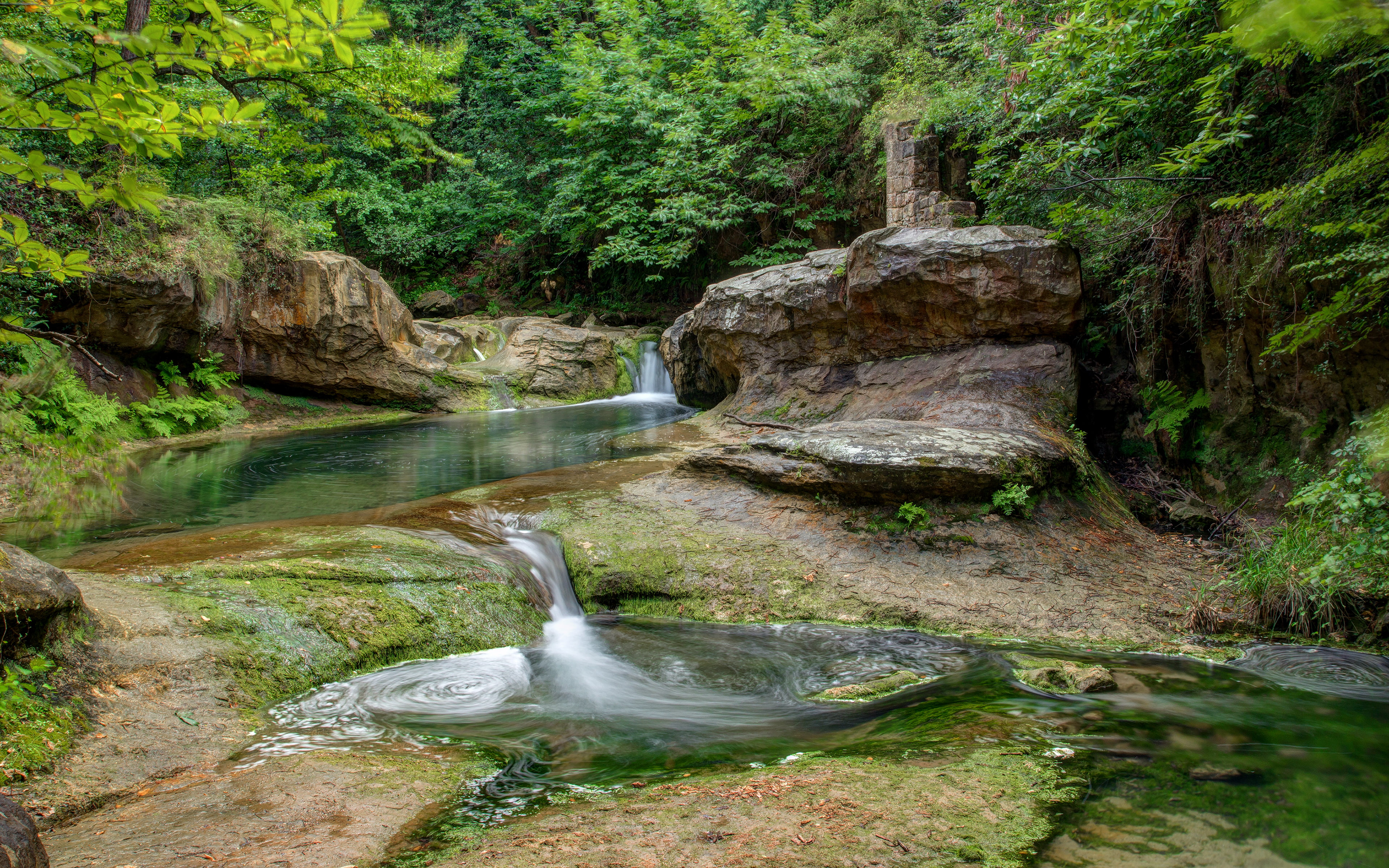 scenics - nature, outdoors, water, land, photography, plant, forests, nature, non-urban scene, forest, green, flowing, growth, waterfalls, tranquility, HD Wallpaper