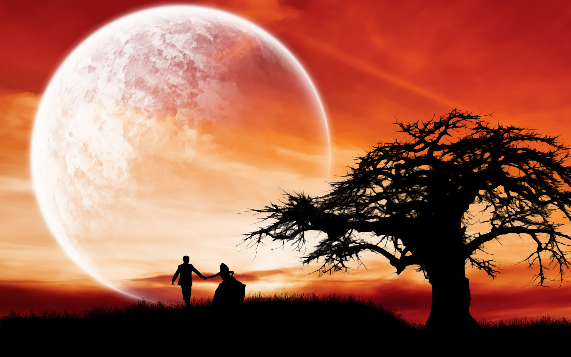 space, plant, orange color, silueta, back lit, moon, tranquility, outdoors, tranquil scene, sun, silhouette, scenics - nature, people, beauty in nature, HD Wallpaper
