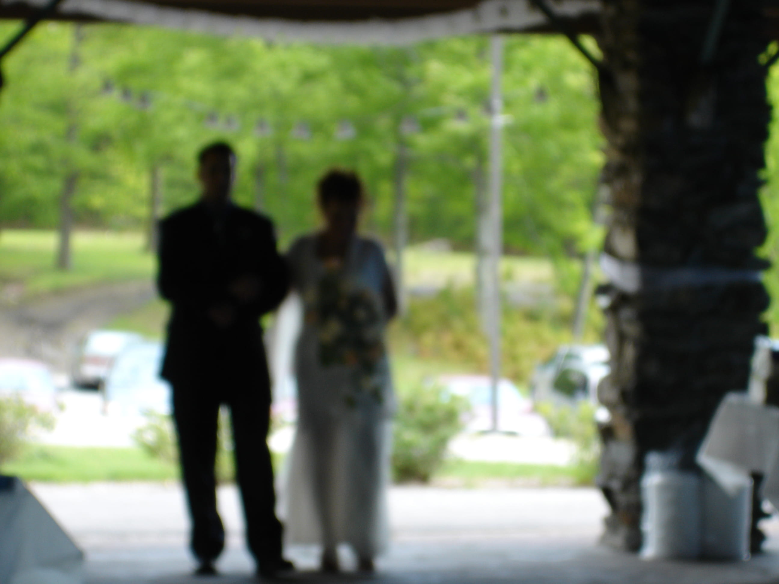 boda, plant, togetherness, people, novia, full length, bride, government, newlywed, two people, celebration, groom, 2K, wedding, outdoors, tree, novio, HD Wallpaper