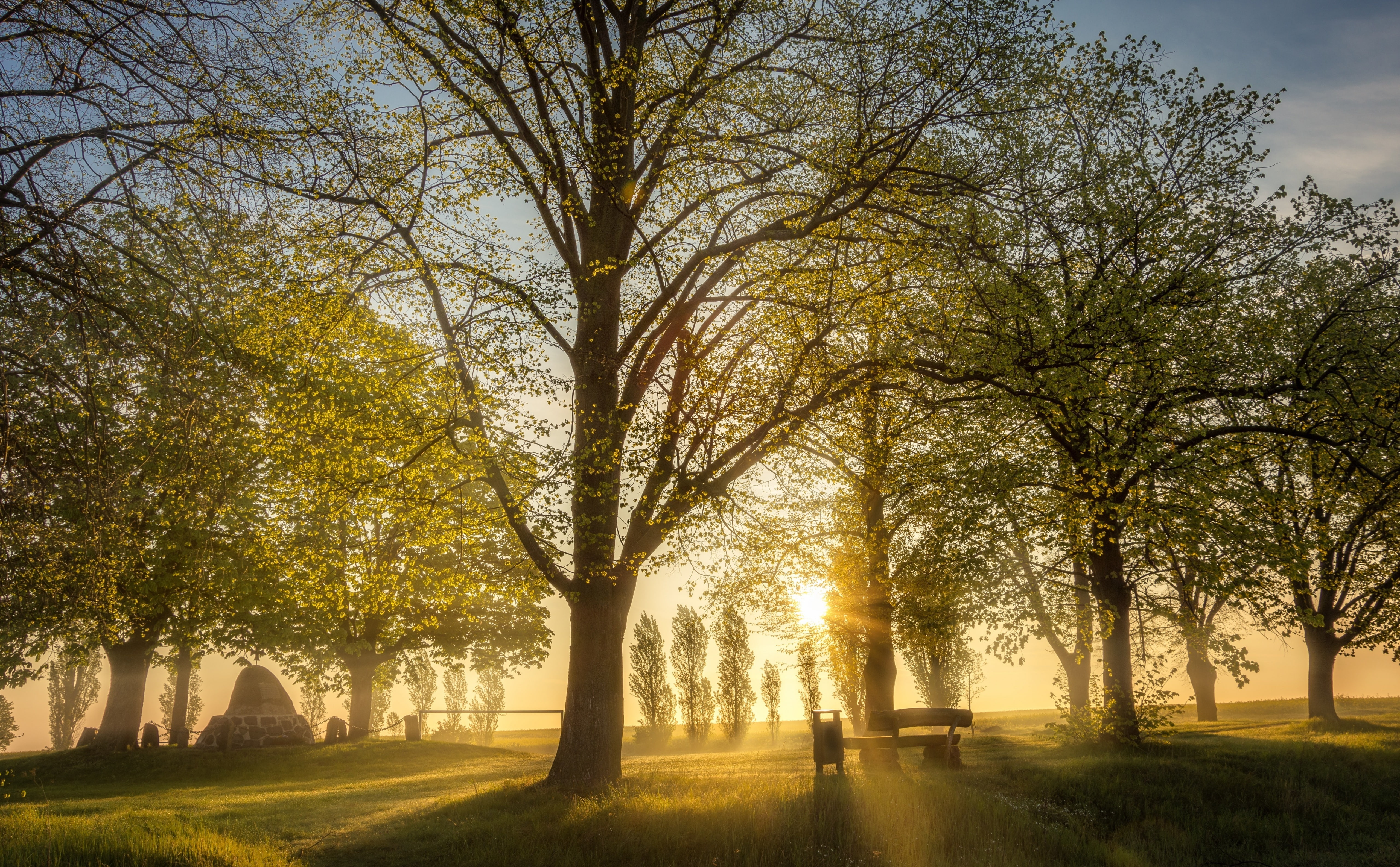 sunlight, rays, trunk, Photography, land, 5K, change, Sunrise, Trees, sky, Bench, tranquil scene, Photo, Contrejour, non-urban scene, no people, tree, HD Wallpaper
