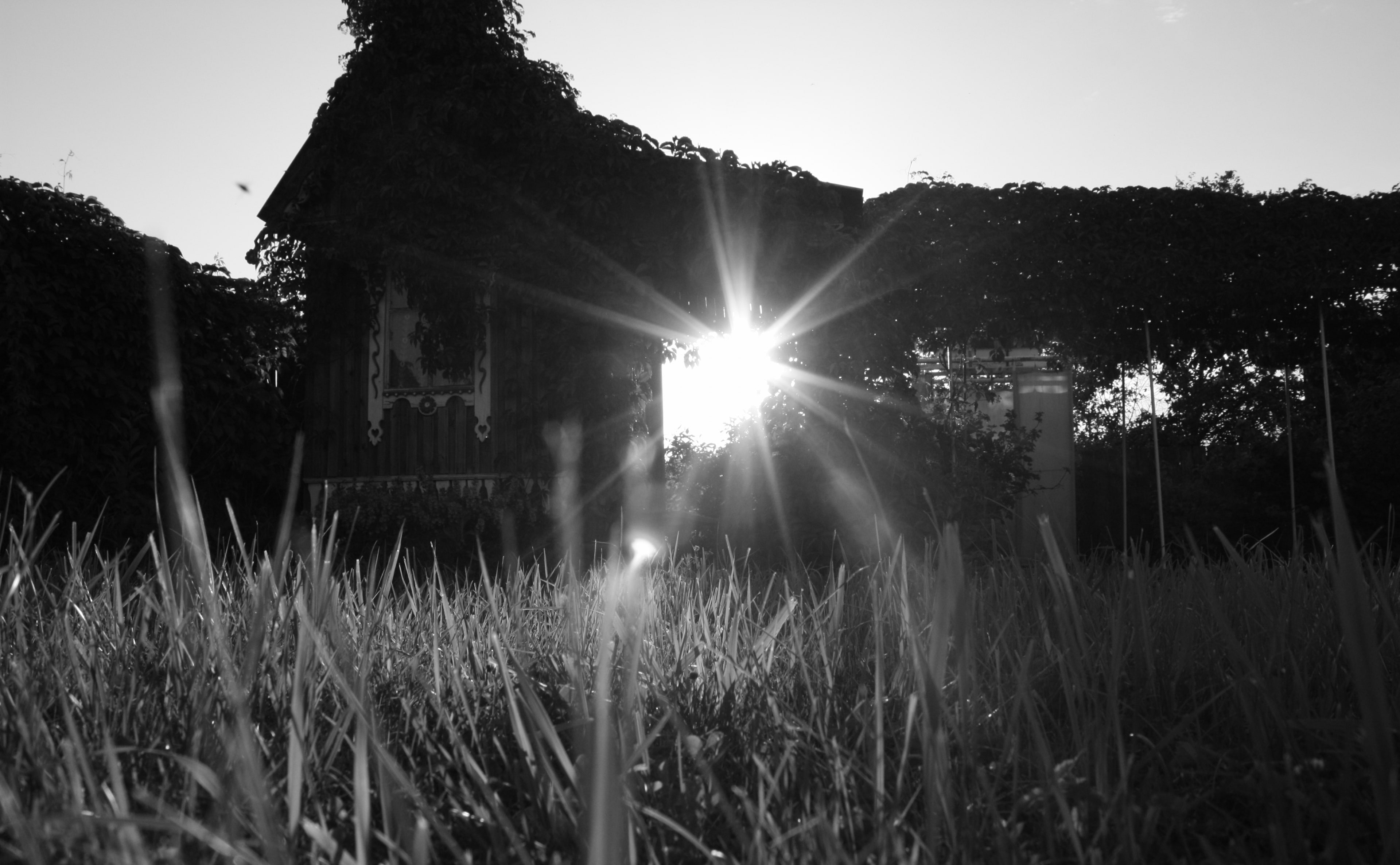 Black and White, Contrejour, 4K, HD Wallpaper