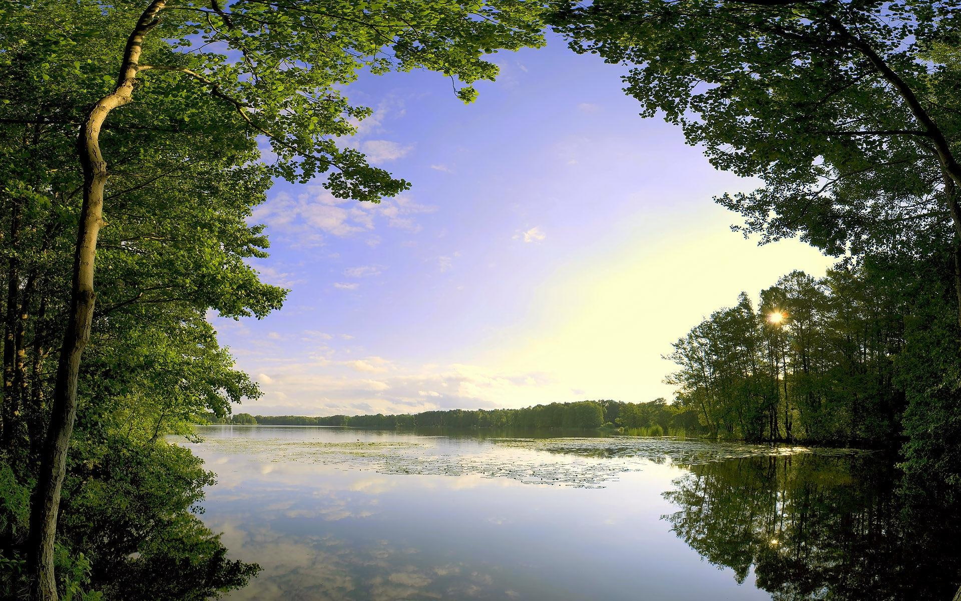 nature, 1920x1200, green, lake, tree, enormous, 1080P, river, summer, HD Wallpaper