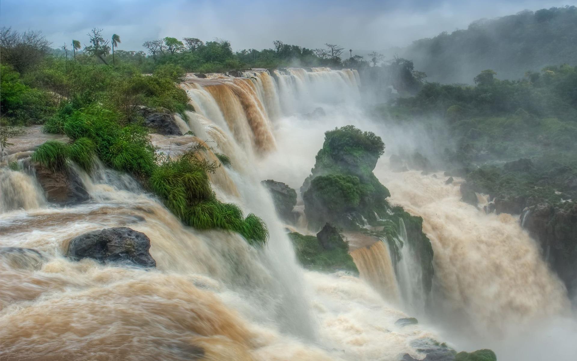 nature, waterfall, view, jungle, tree, 1920x1200, top, photo, enormous, rock, angle, 1080P, HD Wallpaper